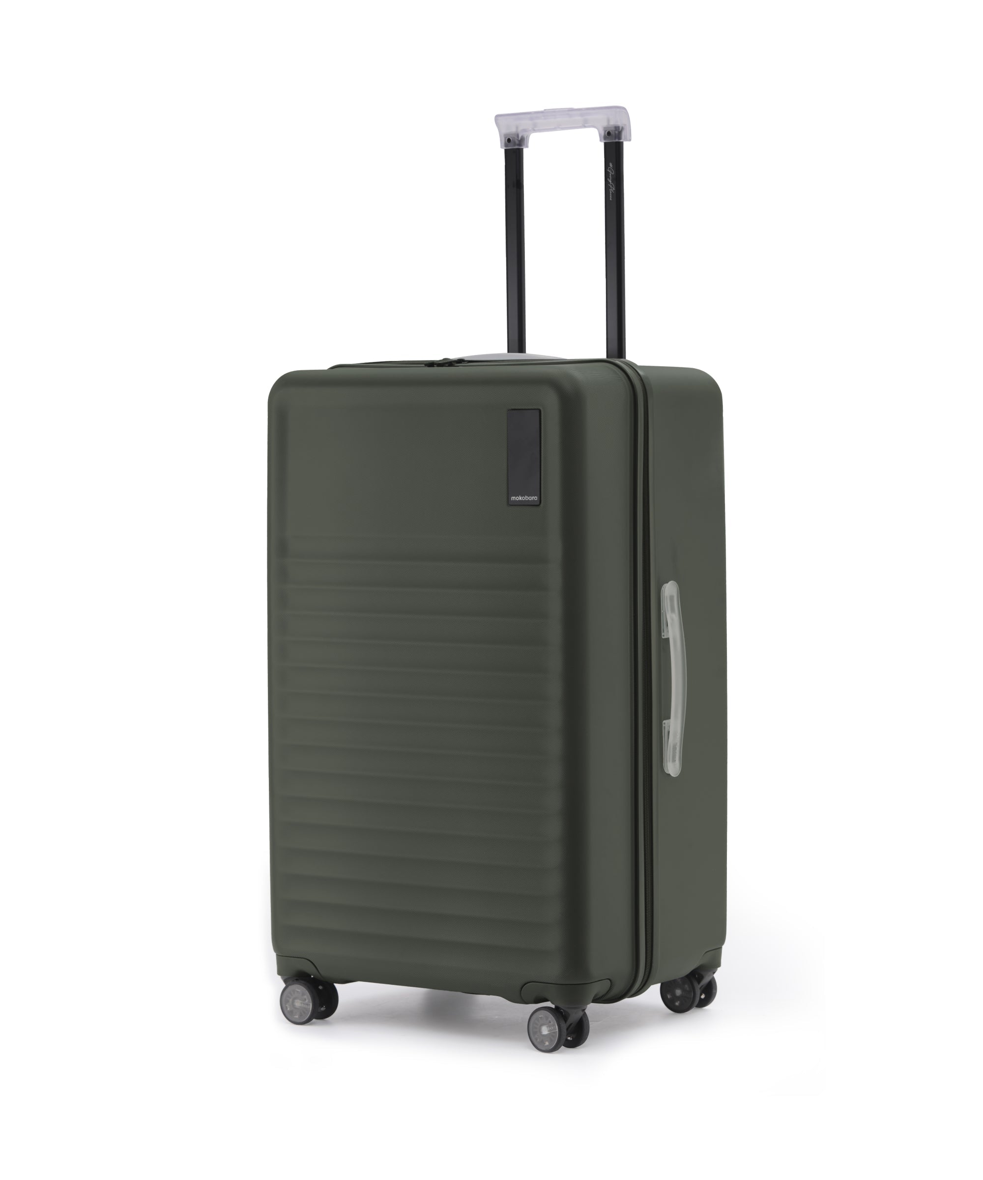 Aisle Trunk - Large