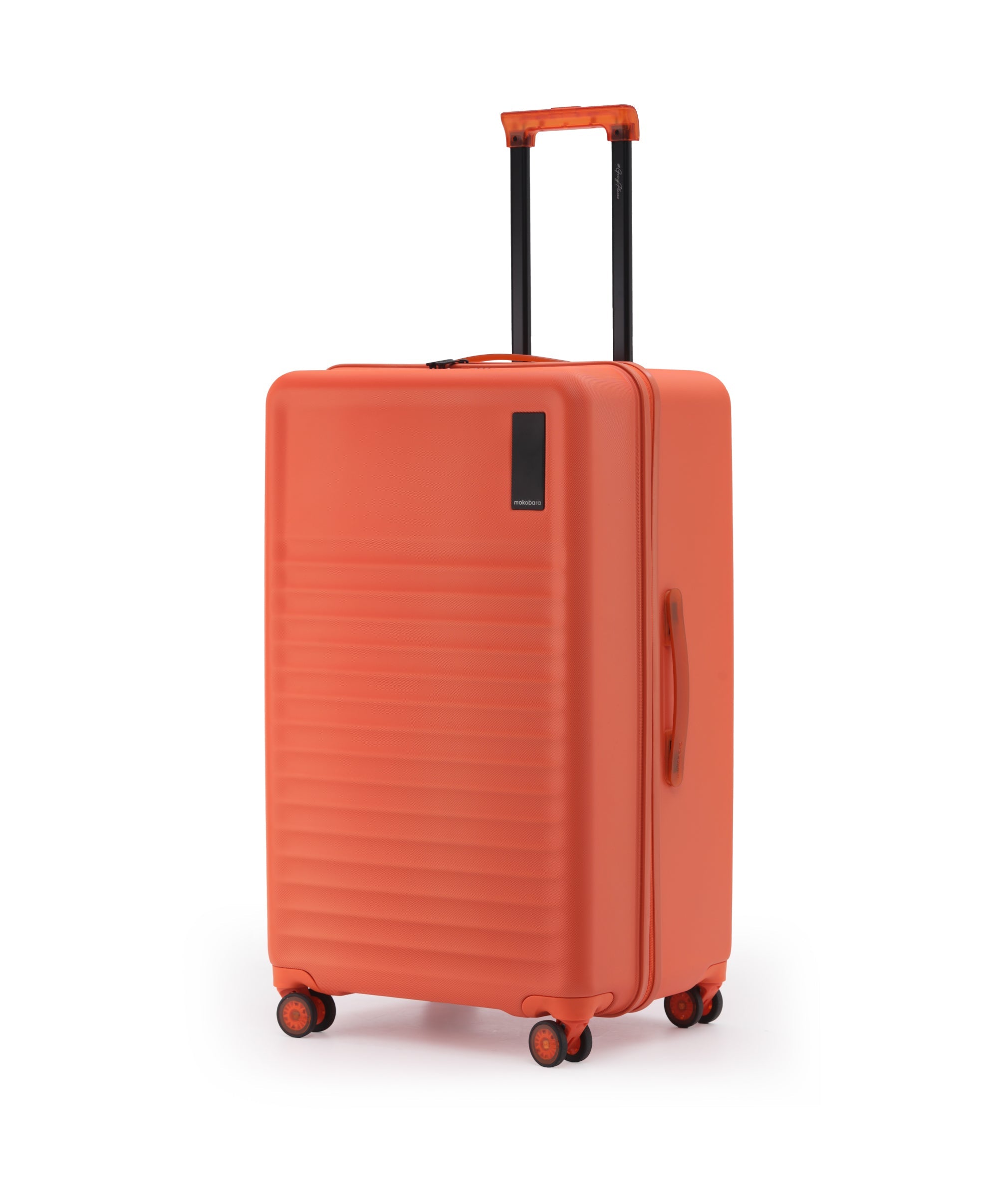 Aisle Trunk - Large