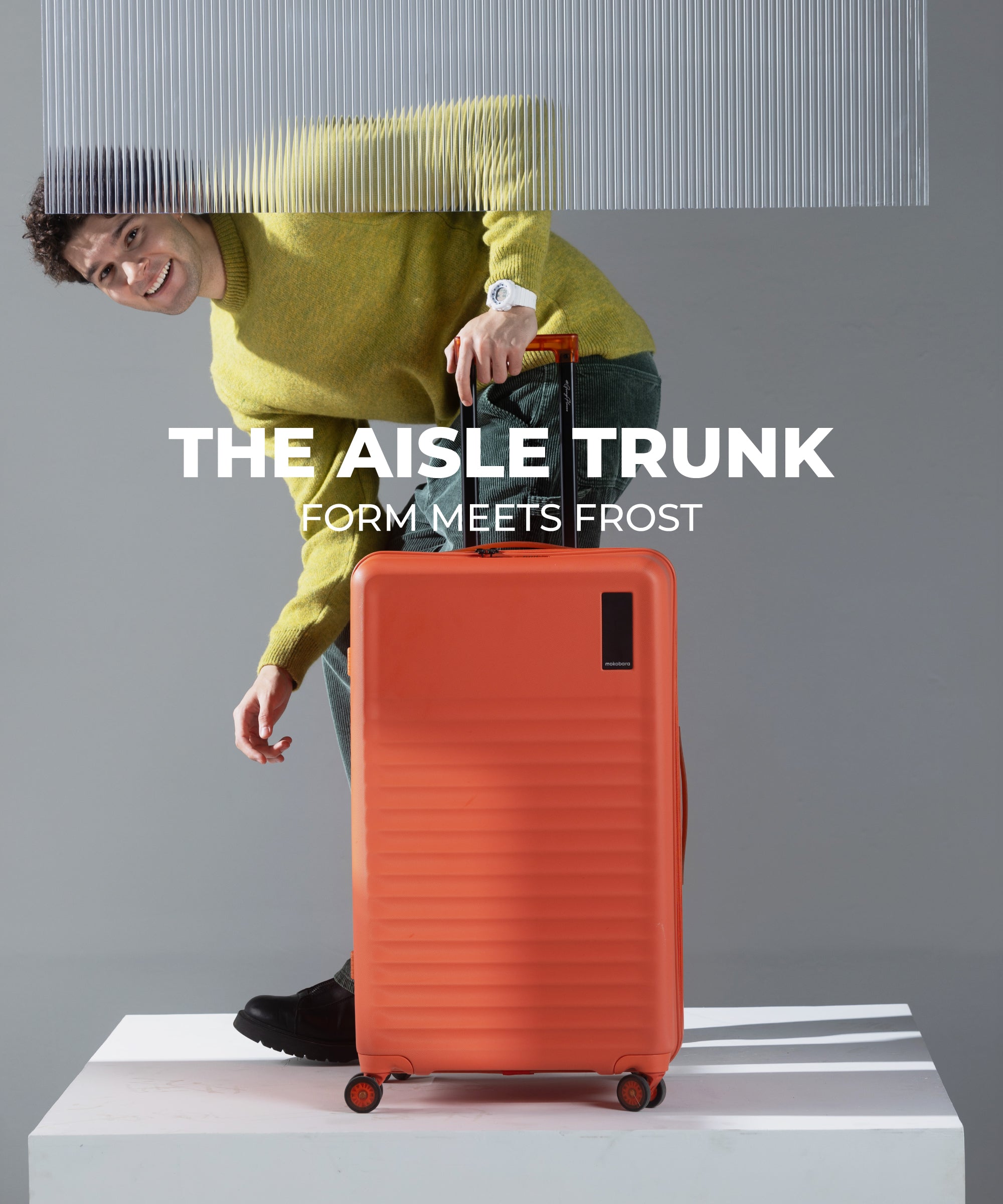 Aisle Trunk - Large