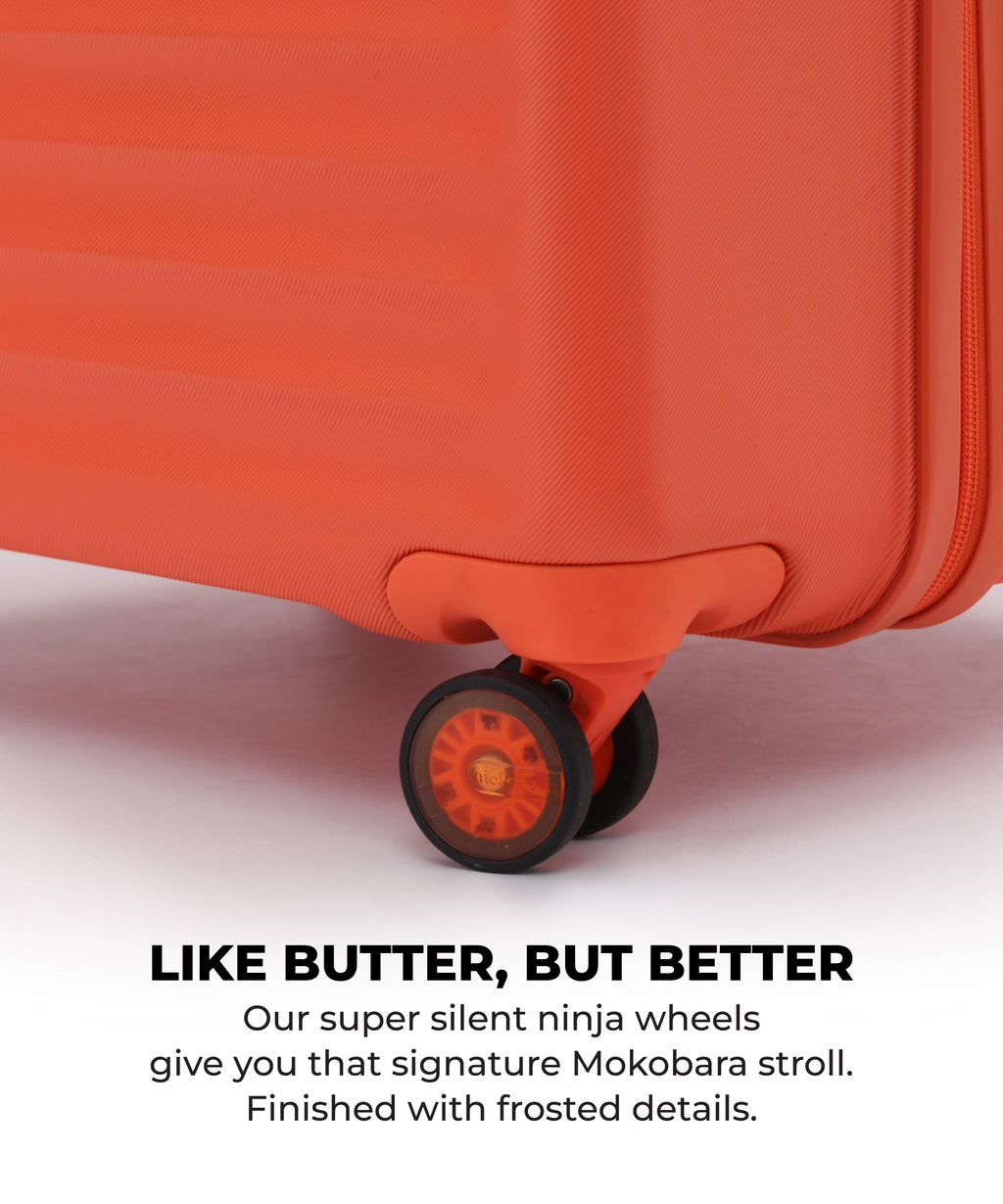Aisle Trunk - Large