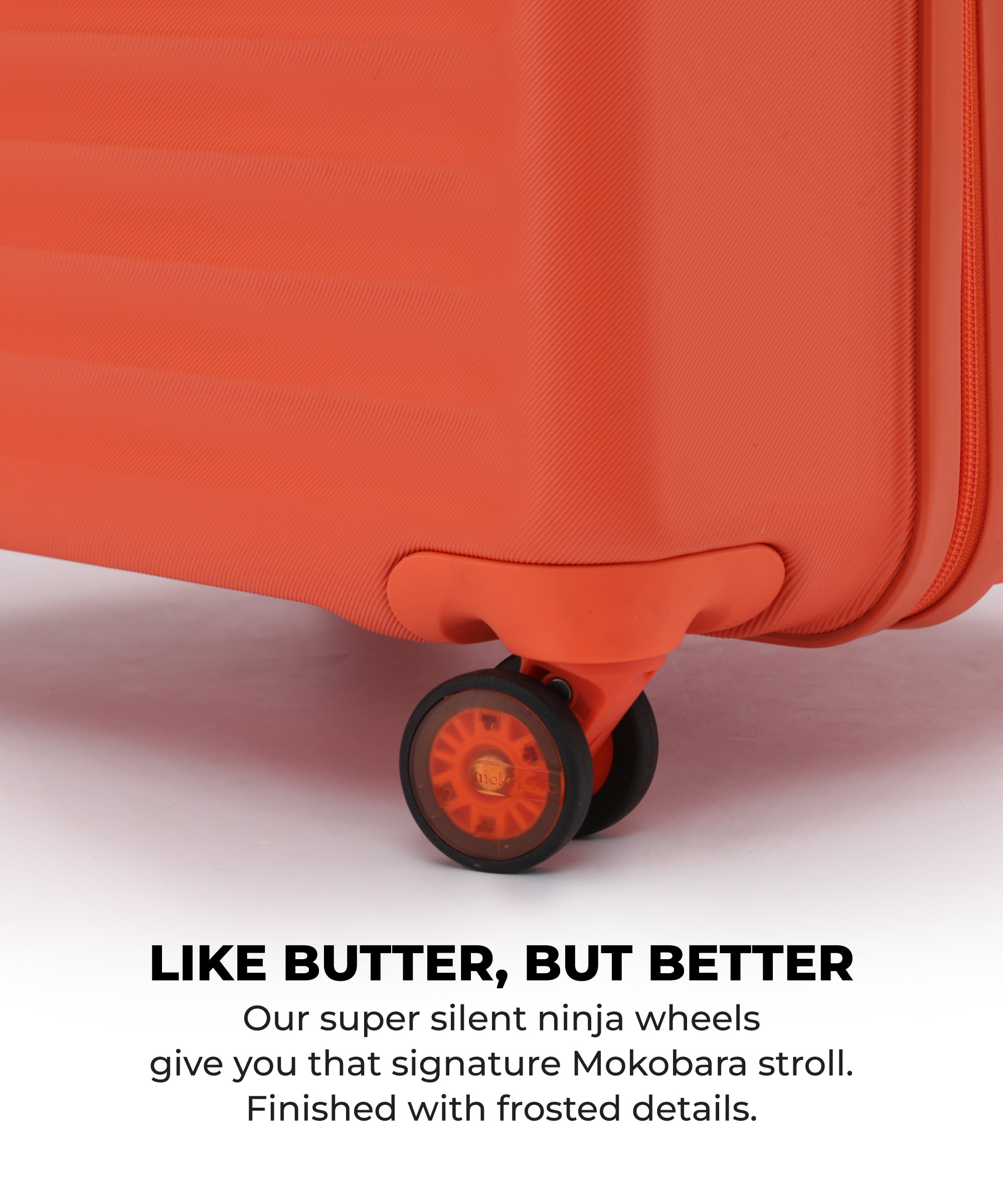 Aisle Trunk - Large
