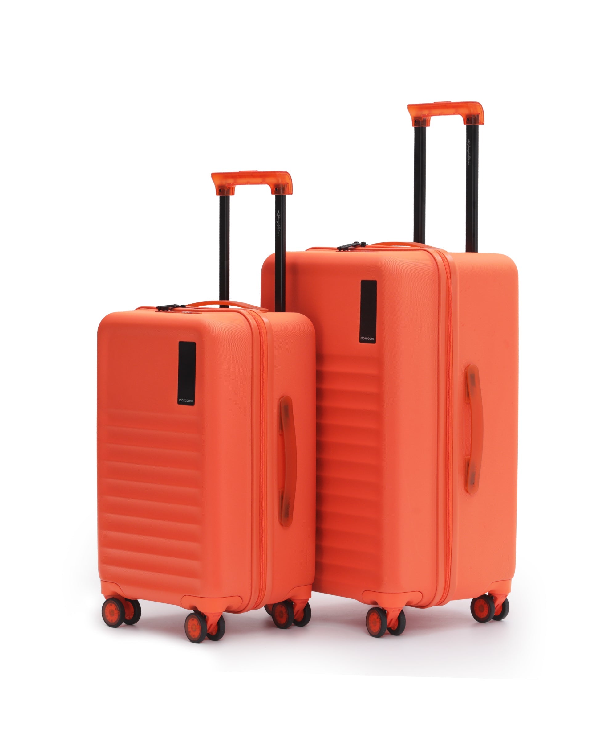 Aisle Trunk - Set of 2