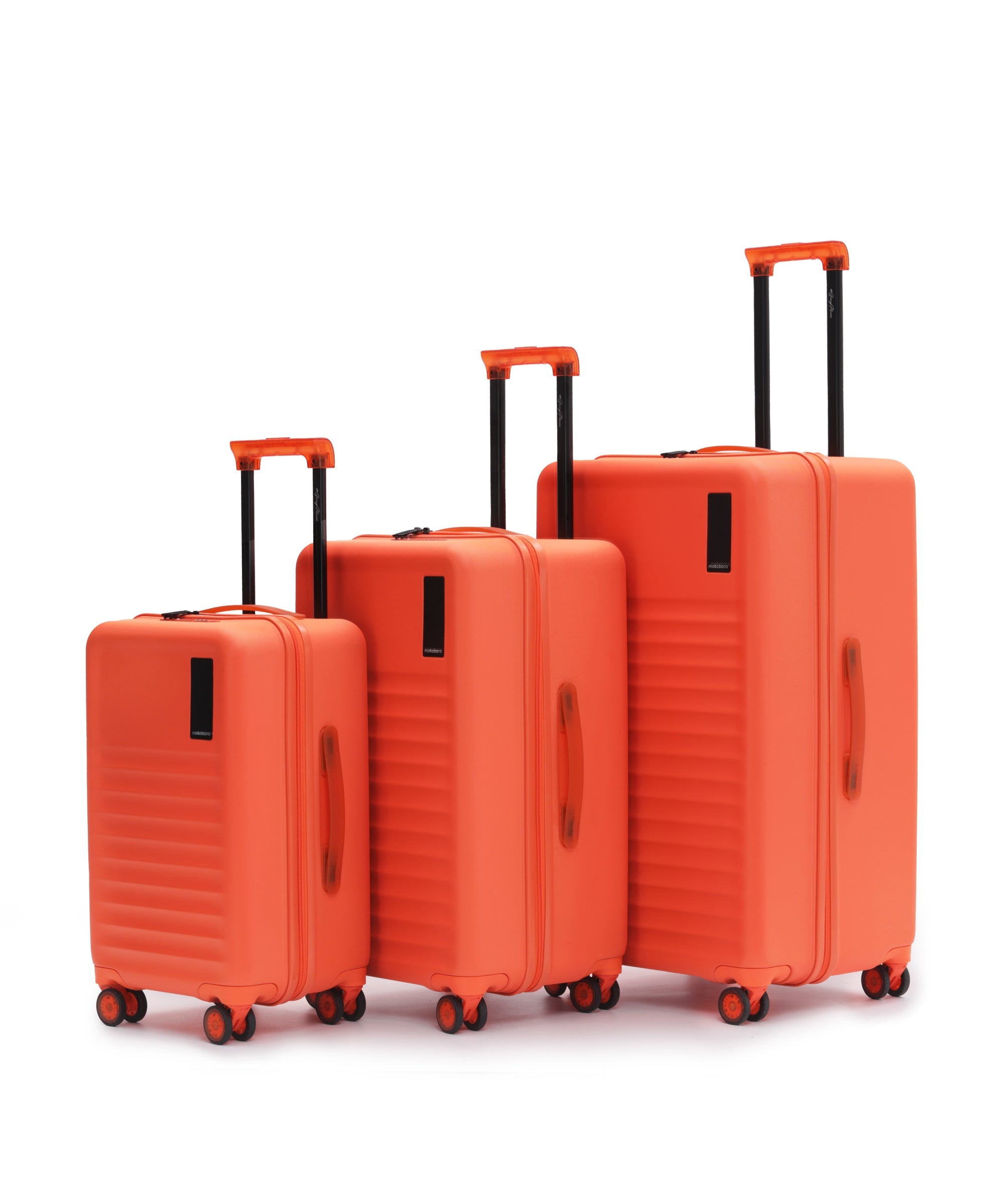Aisle Trunk - Set of 3