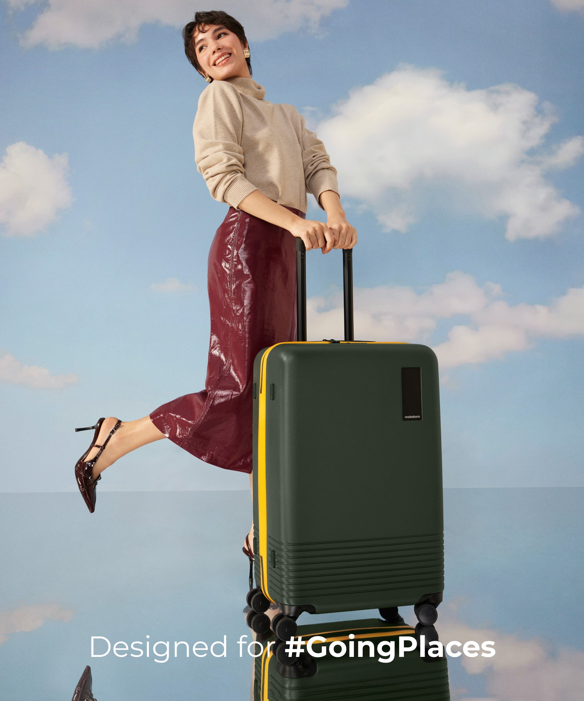 Check-in Luggage
