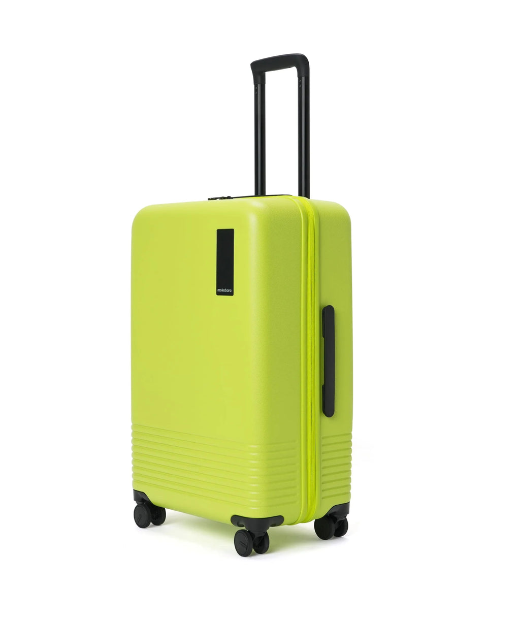 Check-in Luggage