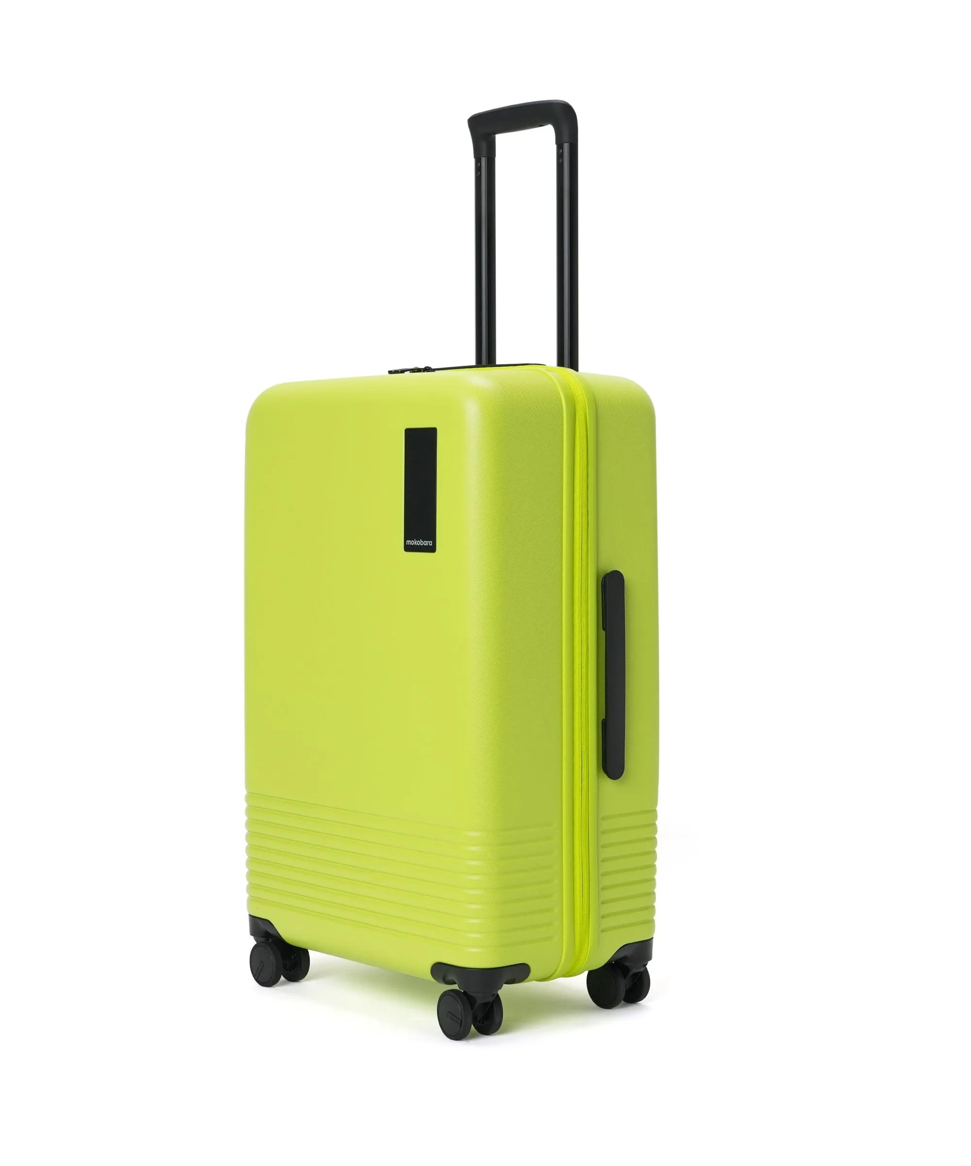 Check-in Luggage