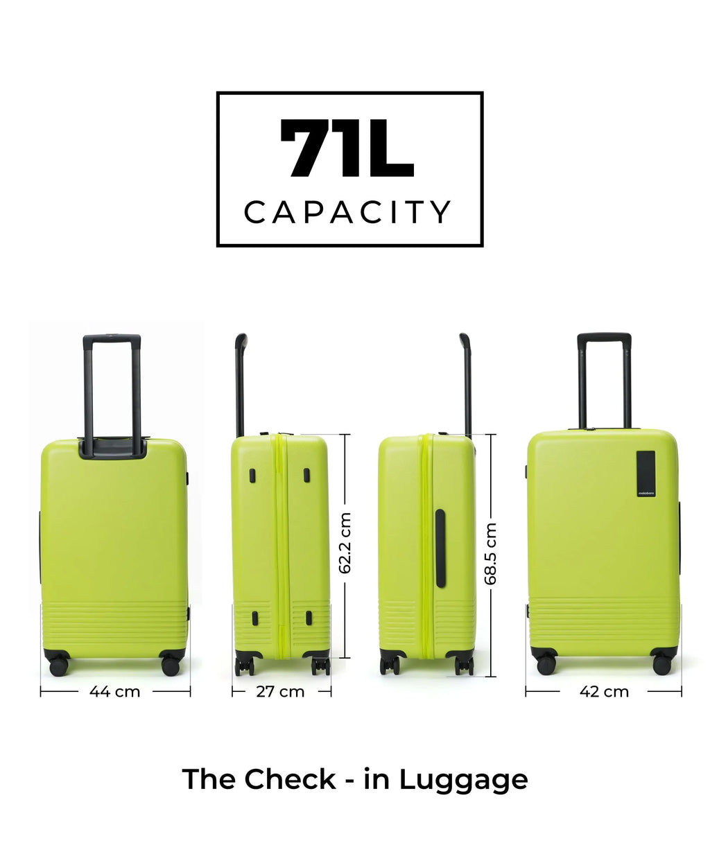 Check-in Luggage