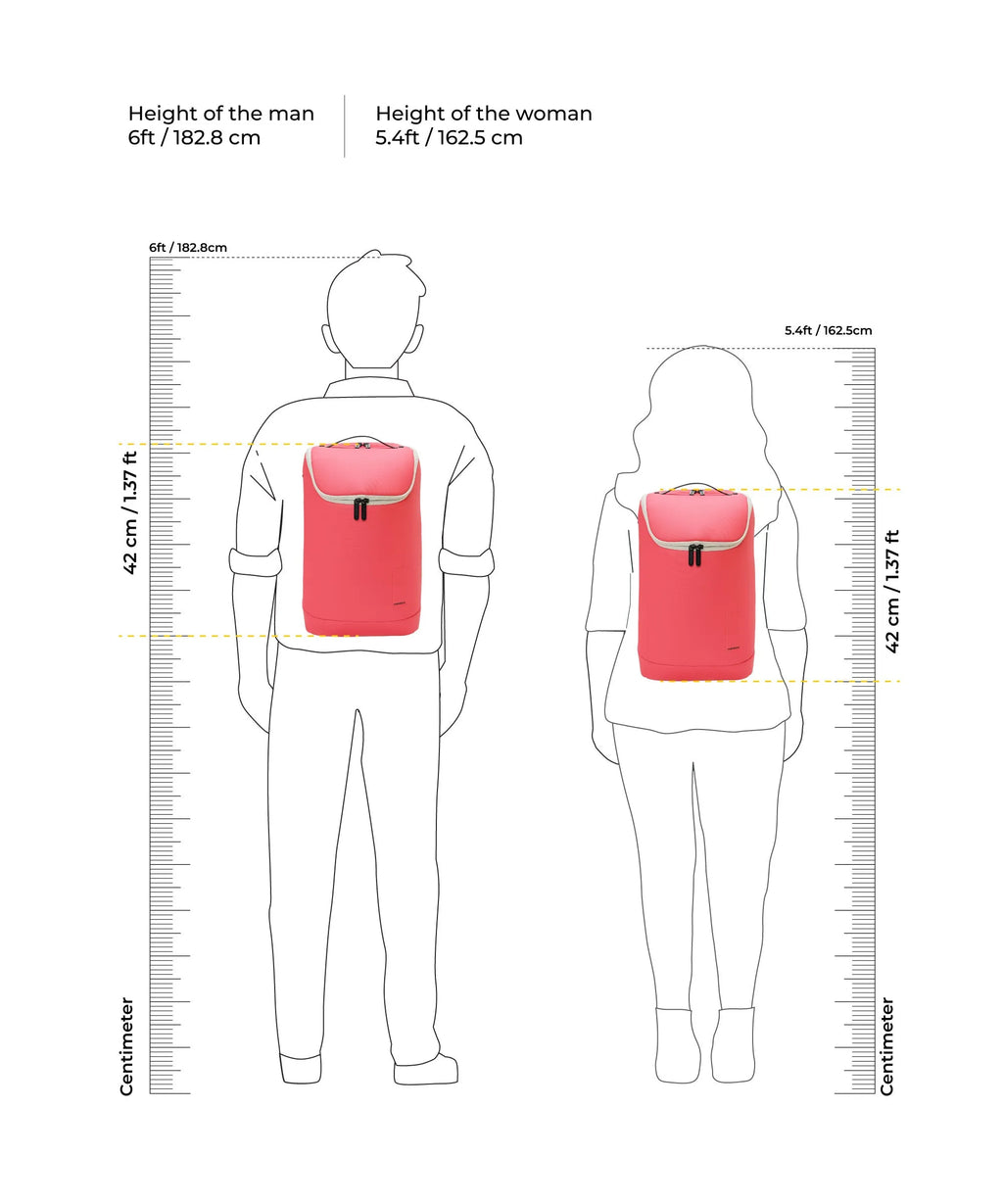 Transit Backpack - 20L