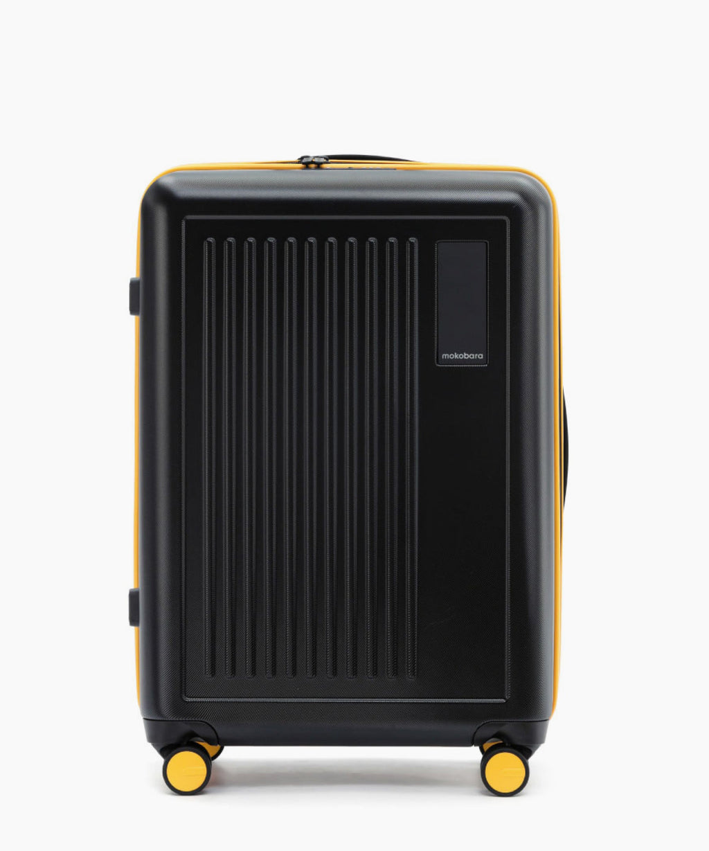 Transit Luggage - Set of 2