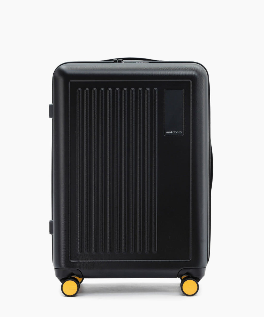 Transit Luggage - Set of 2