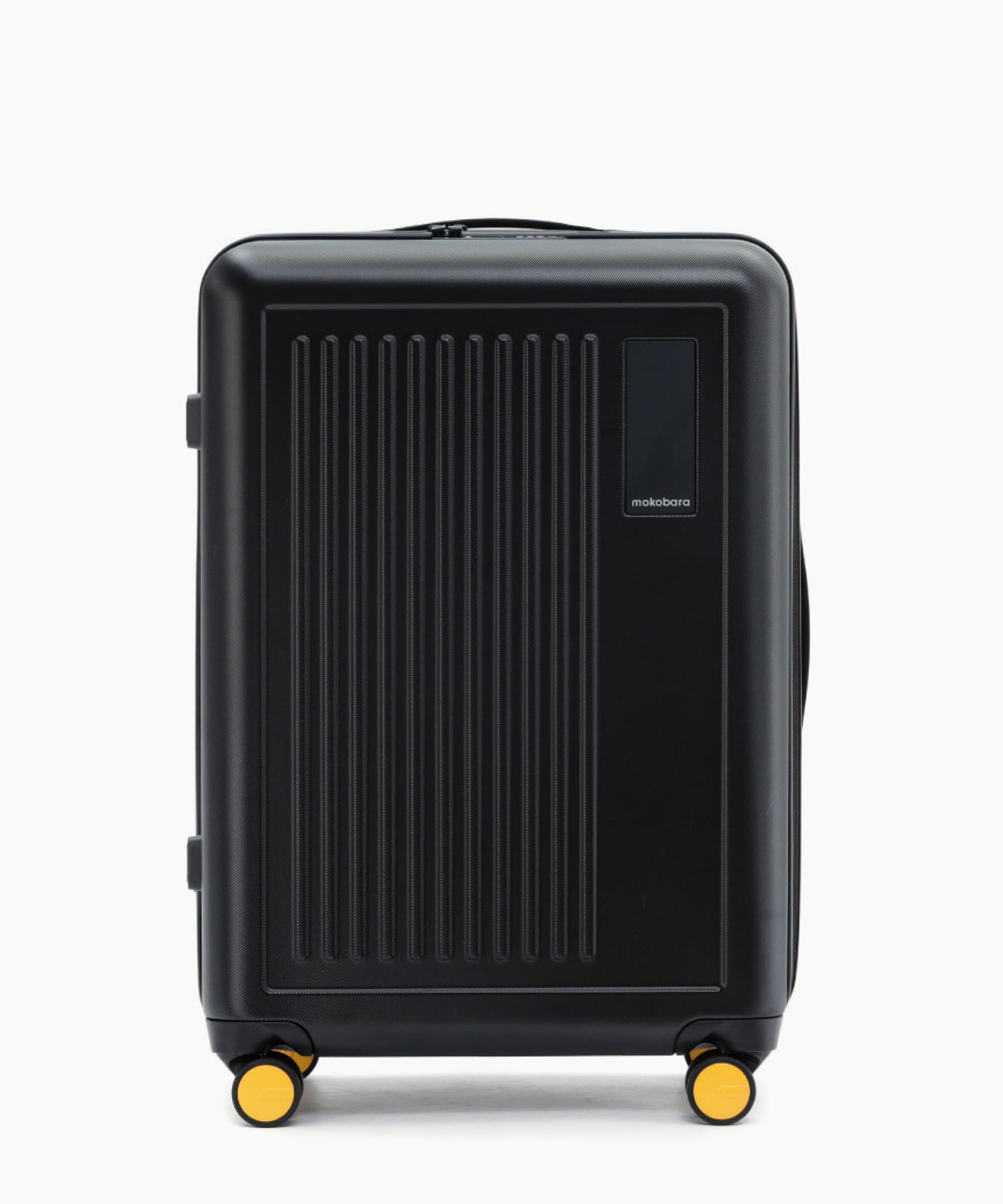 Transit Luggage - Check-in