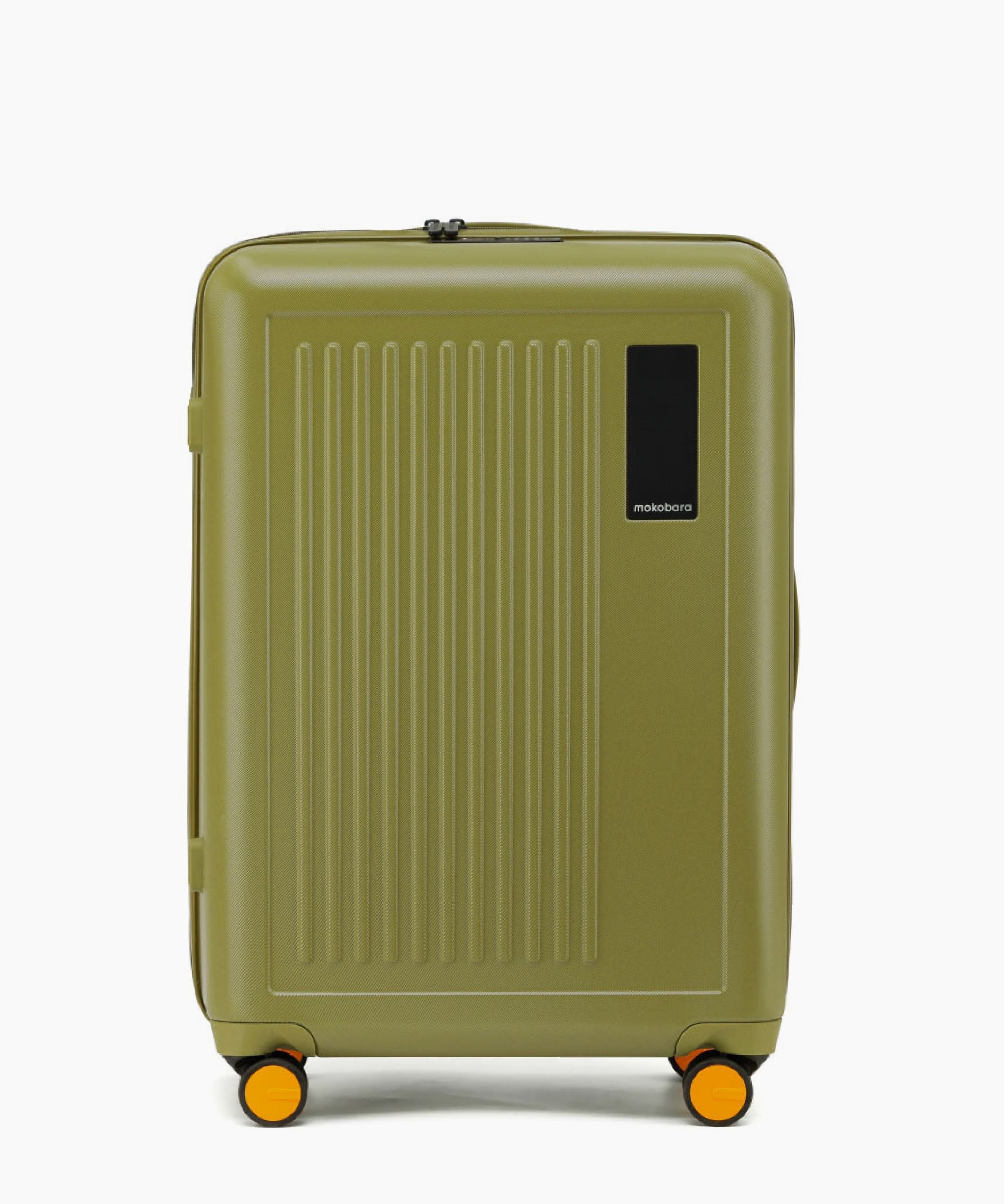 Transit Luggage - Check-in