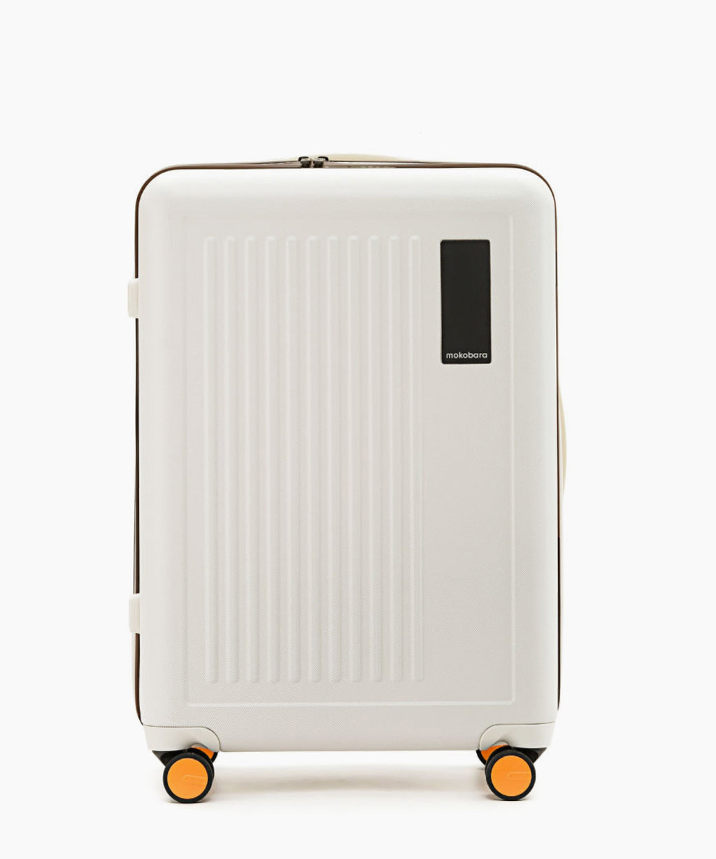 Transit Luggage - Check-in