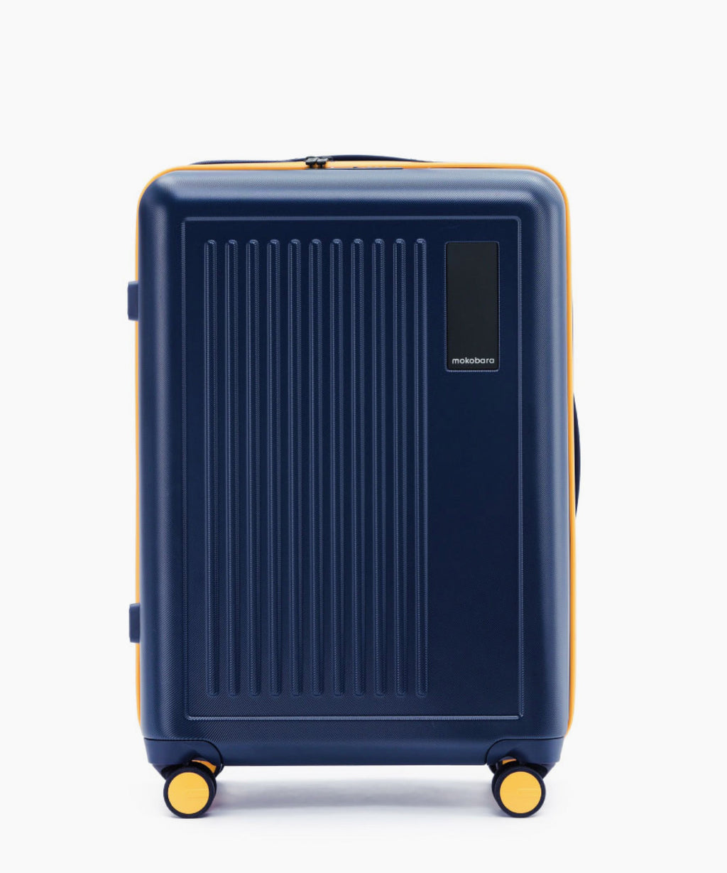 Transit Luggage - Check-in