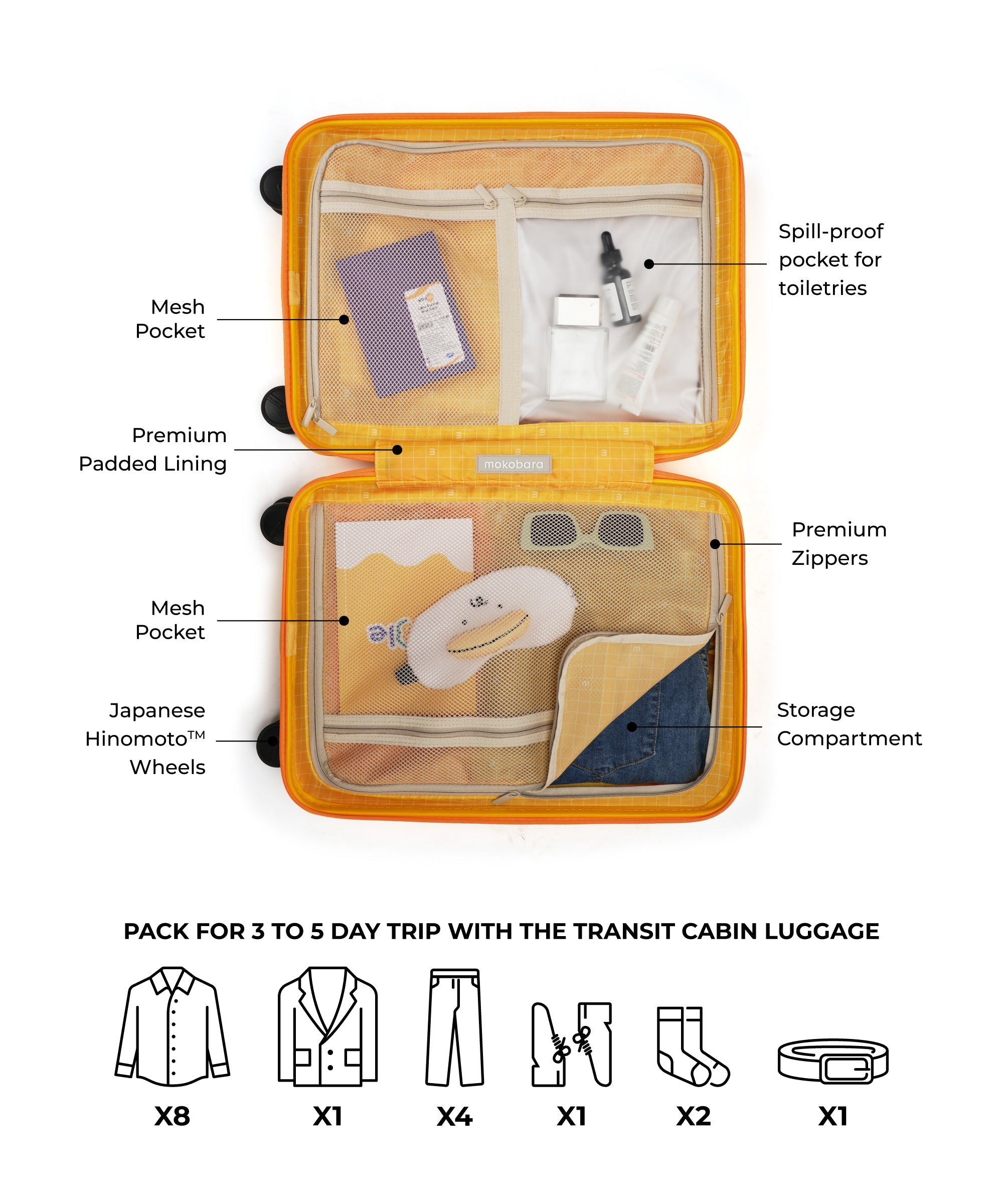 Transit Luggage - Cabin