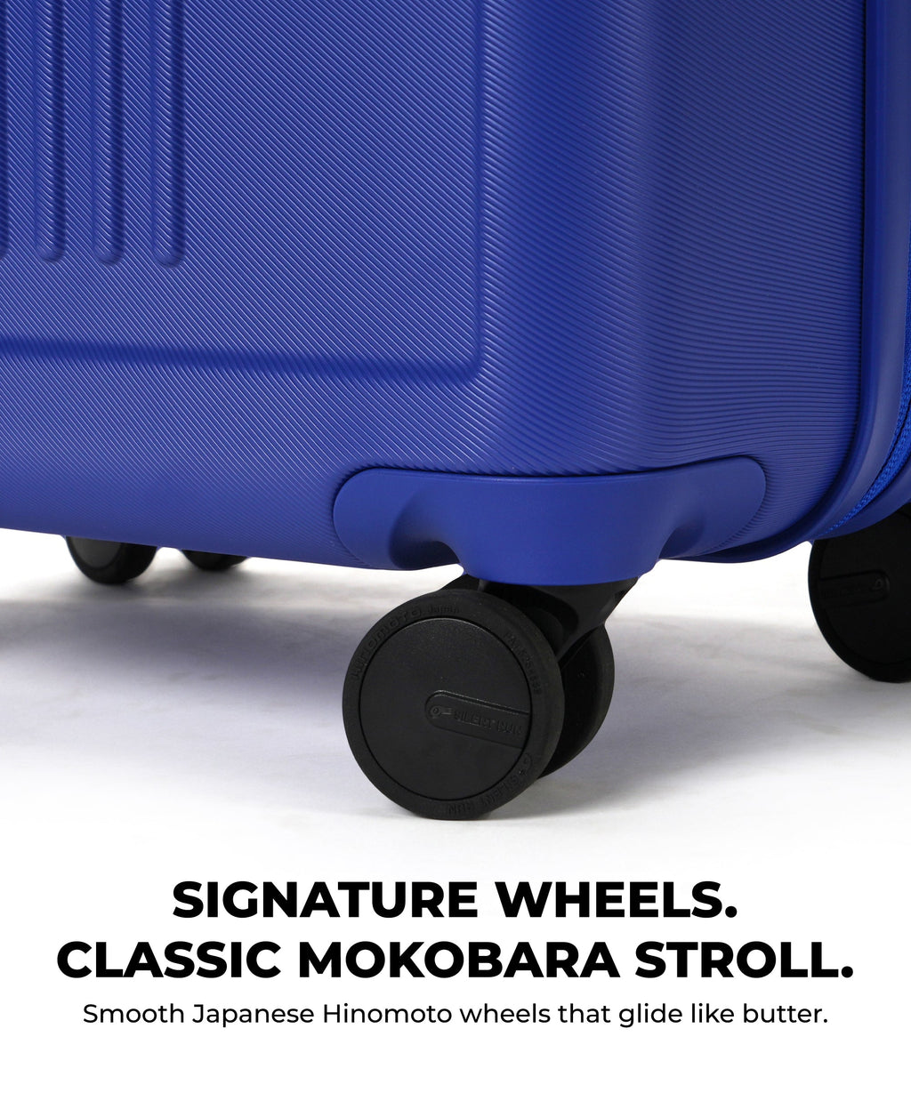 Transit Luggage - Check-in