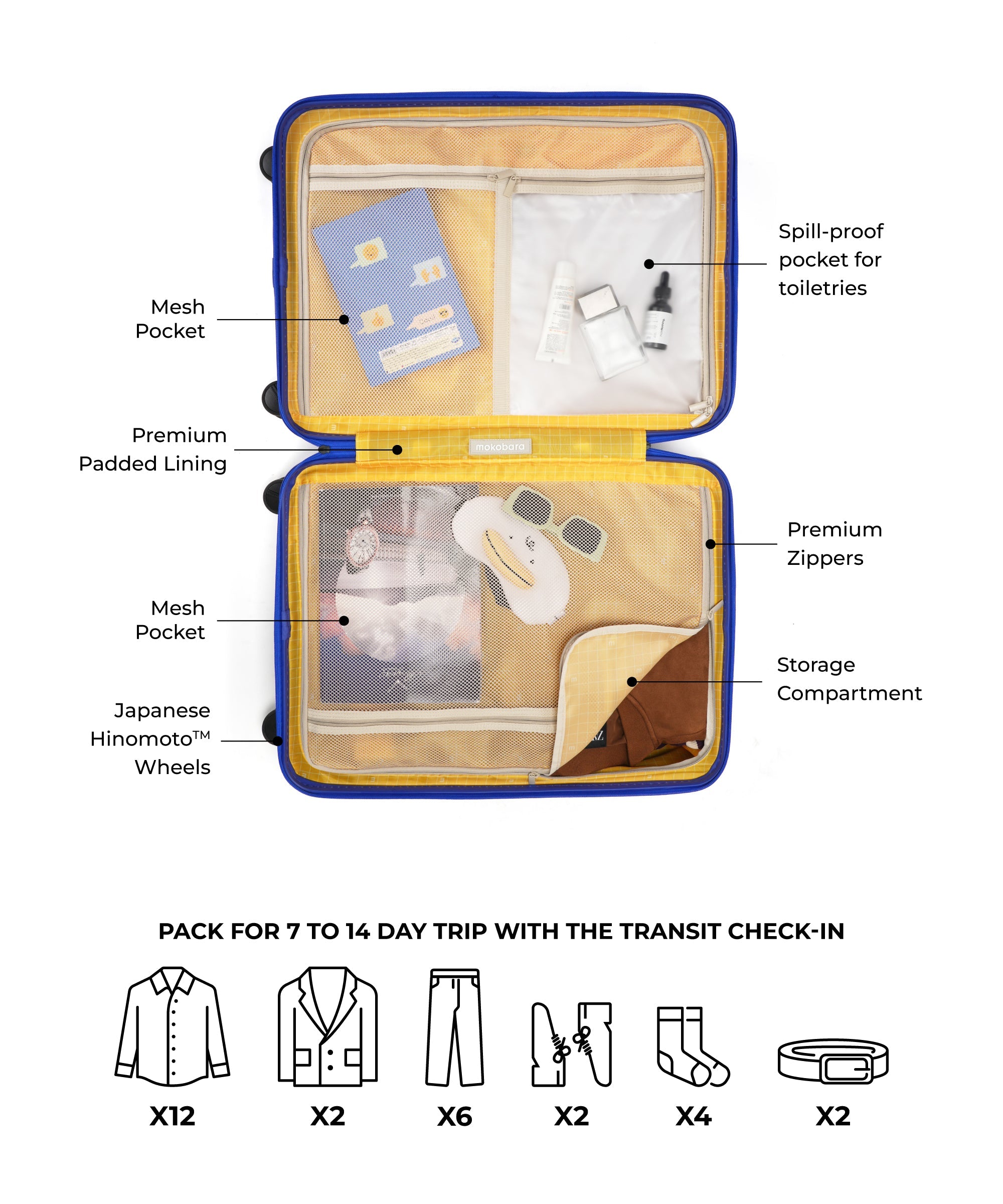 Transit Luggage - Check-in