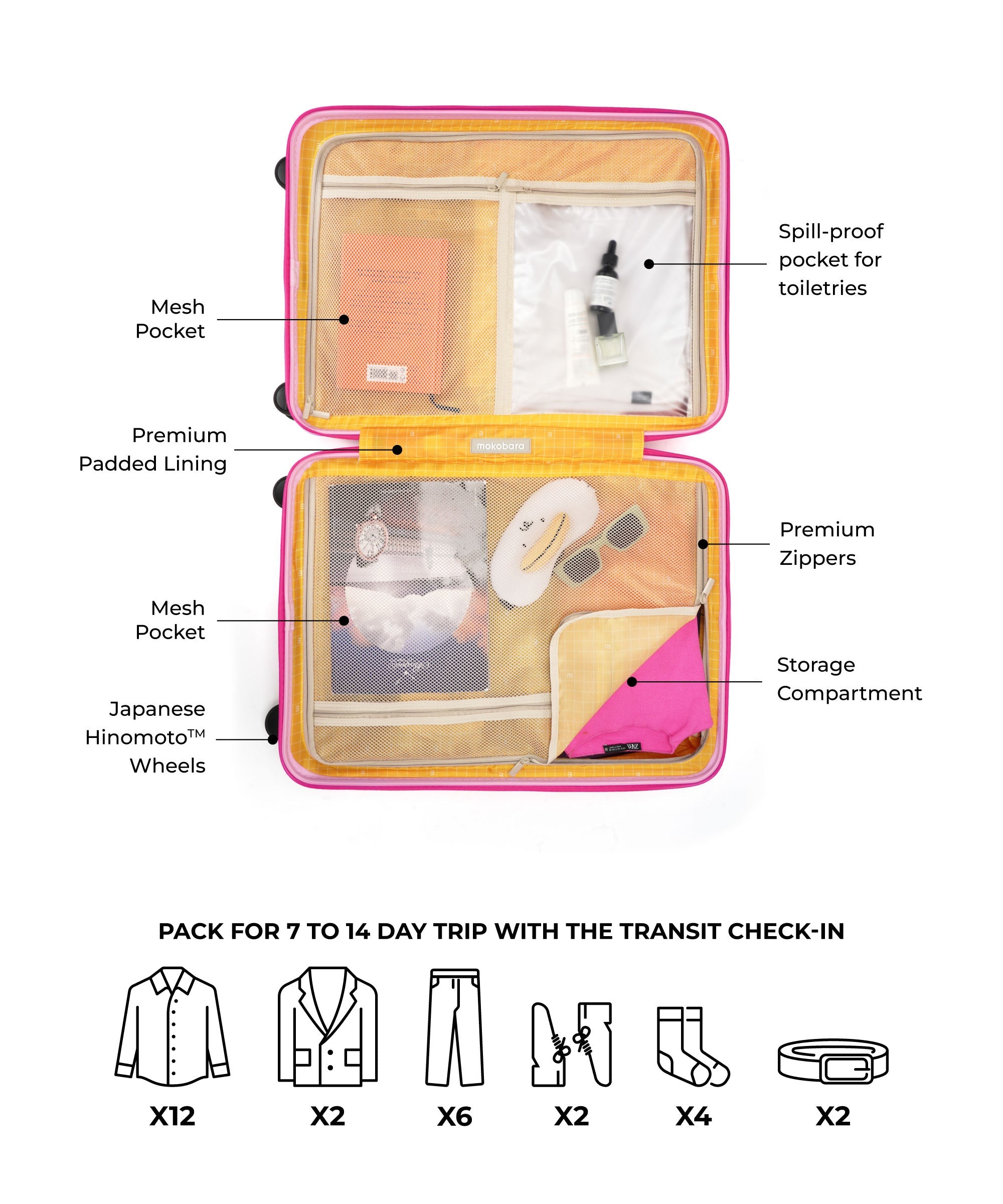 Transit Luggage - Check-in