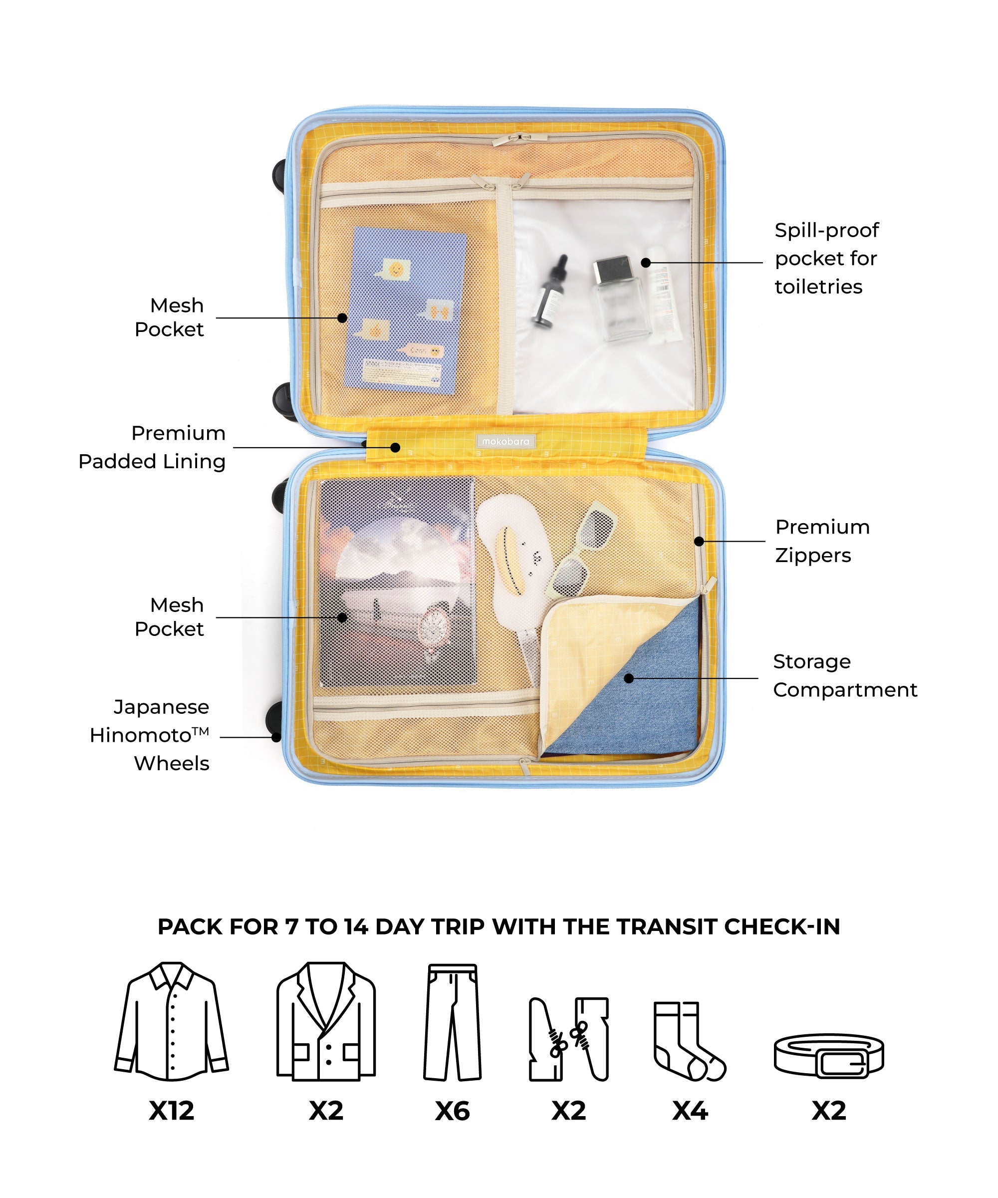 Transit Luggage - Check-in