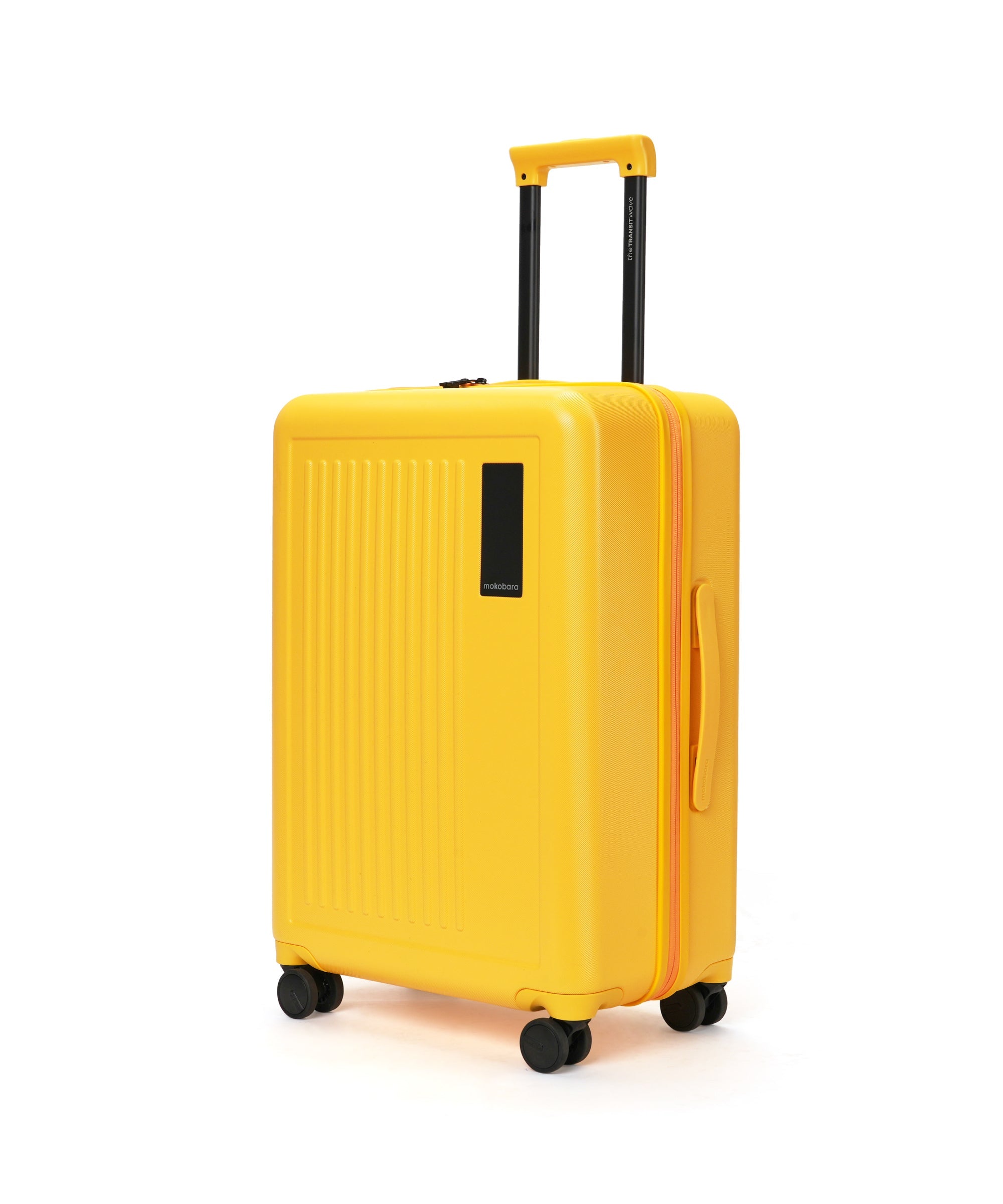 Transit Luggage - Check-in