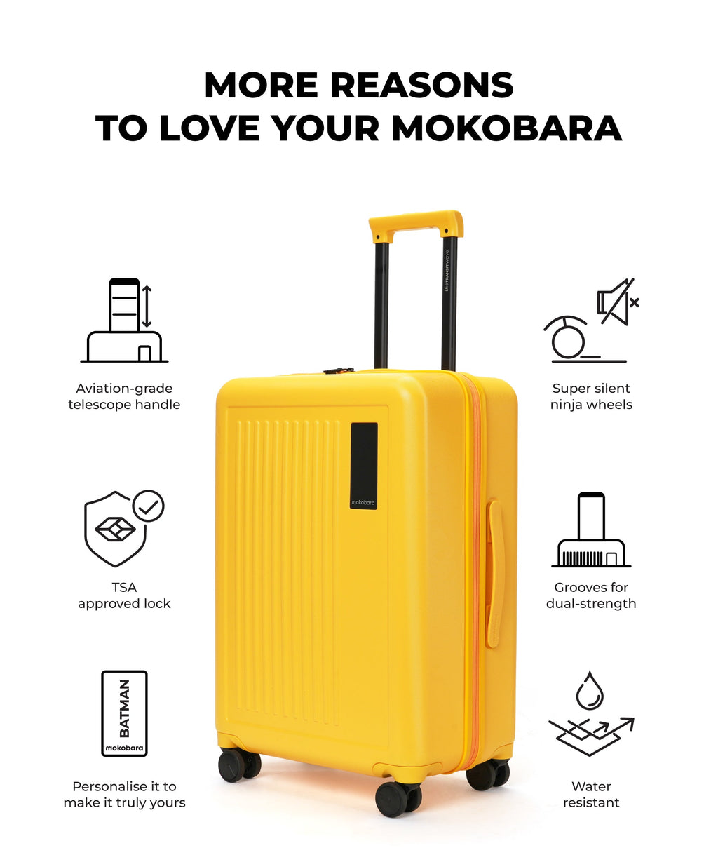 Transit Luggage - Check-in