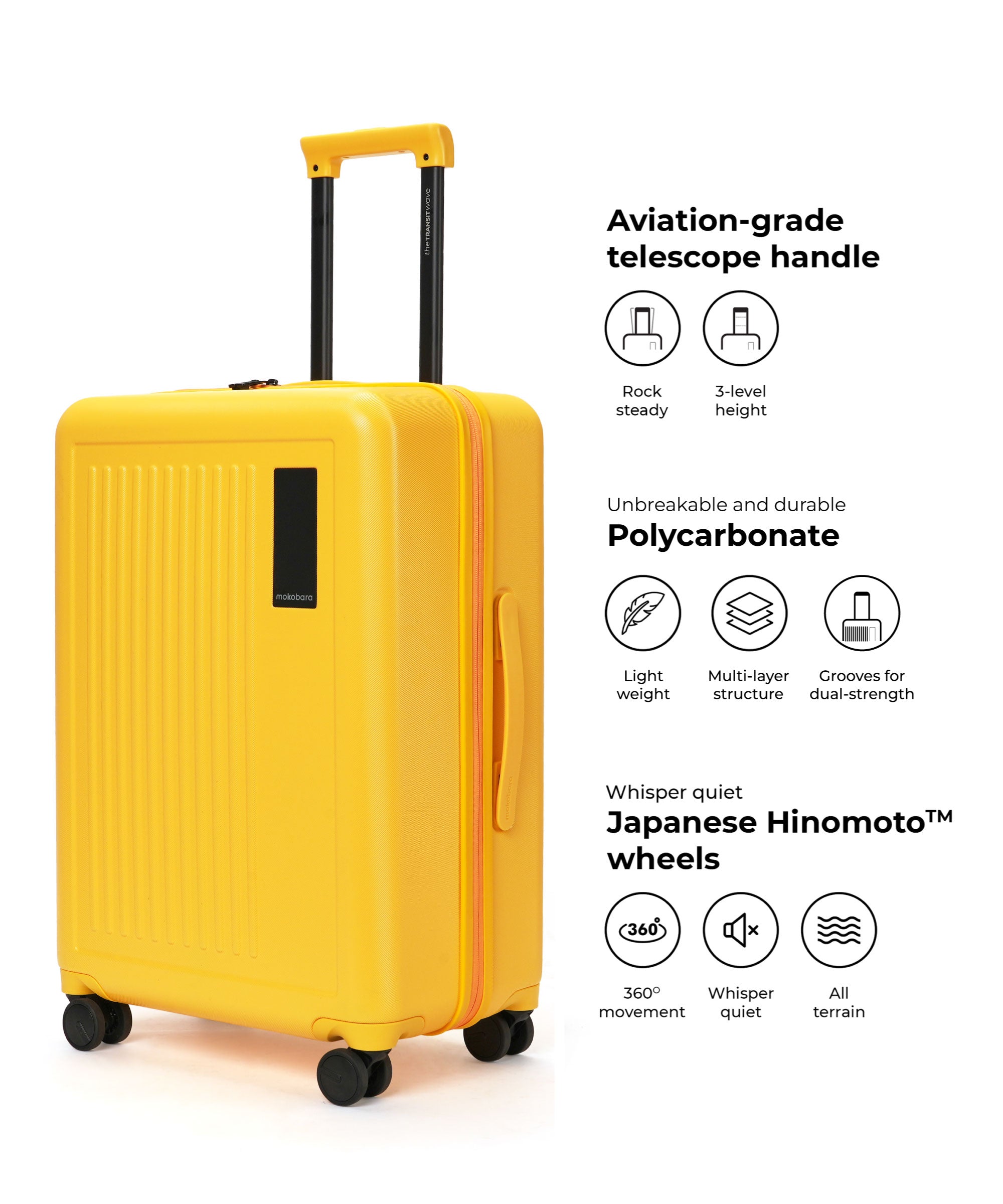 Transit Luggage - Set of 2