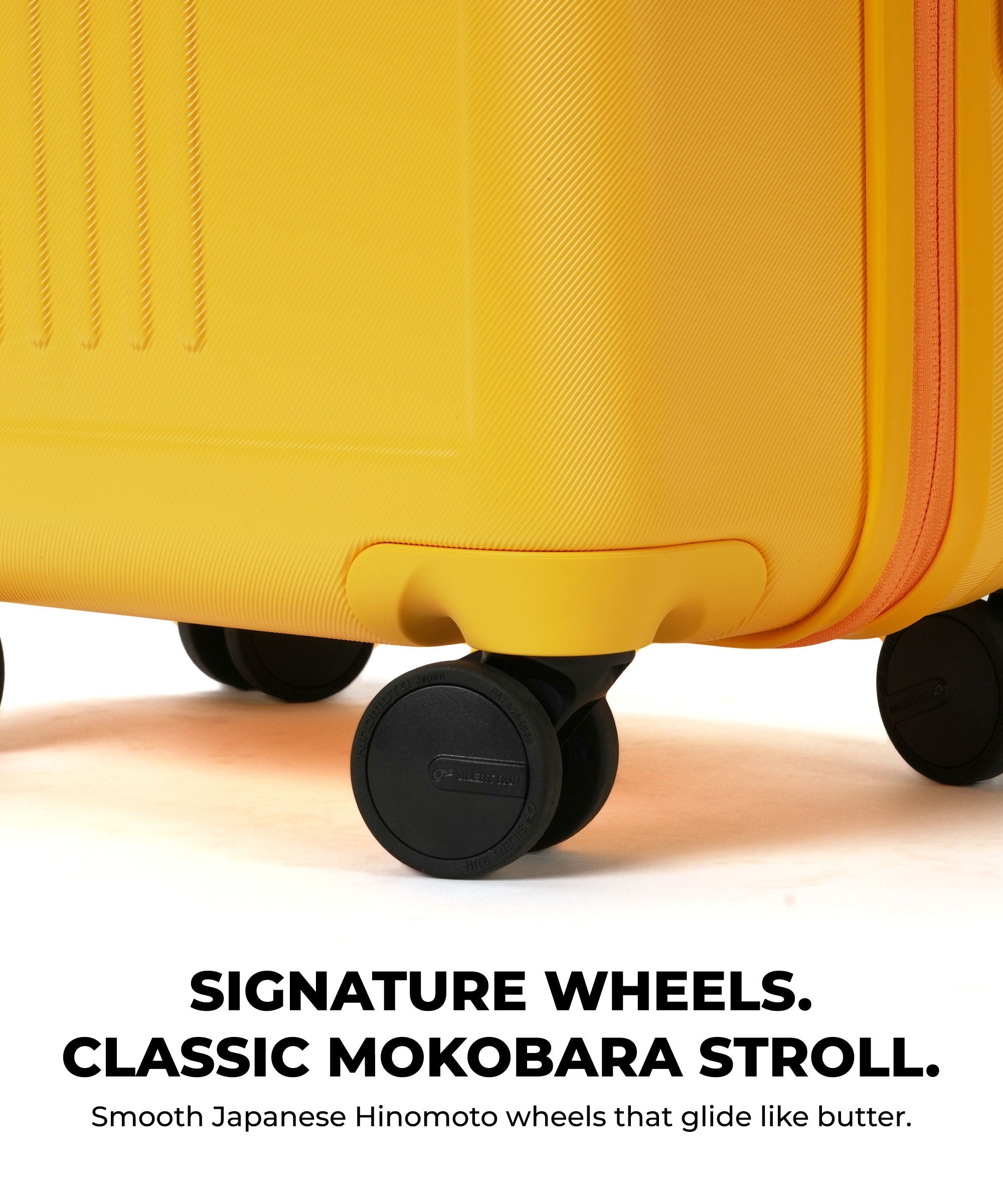 Transit Luggage - Set of 2