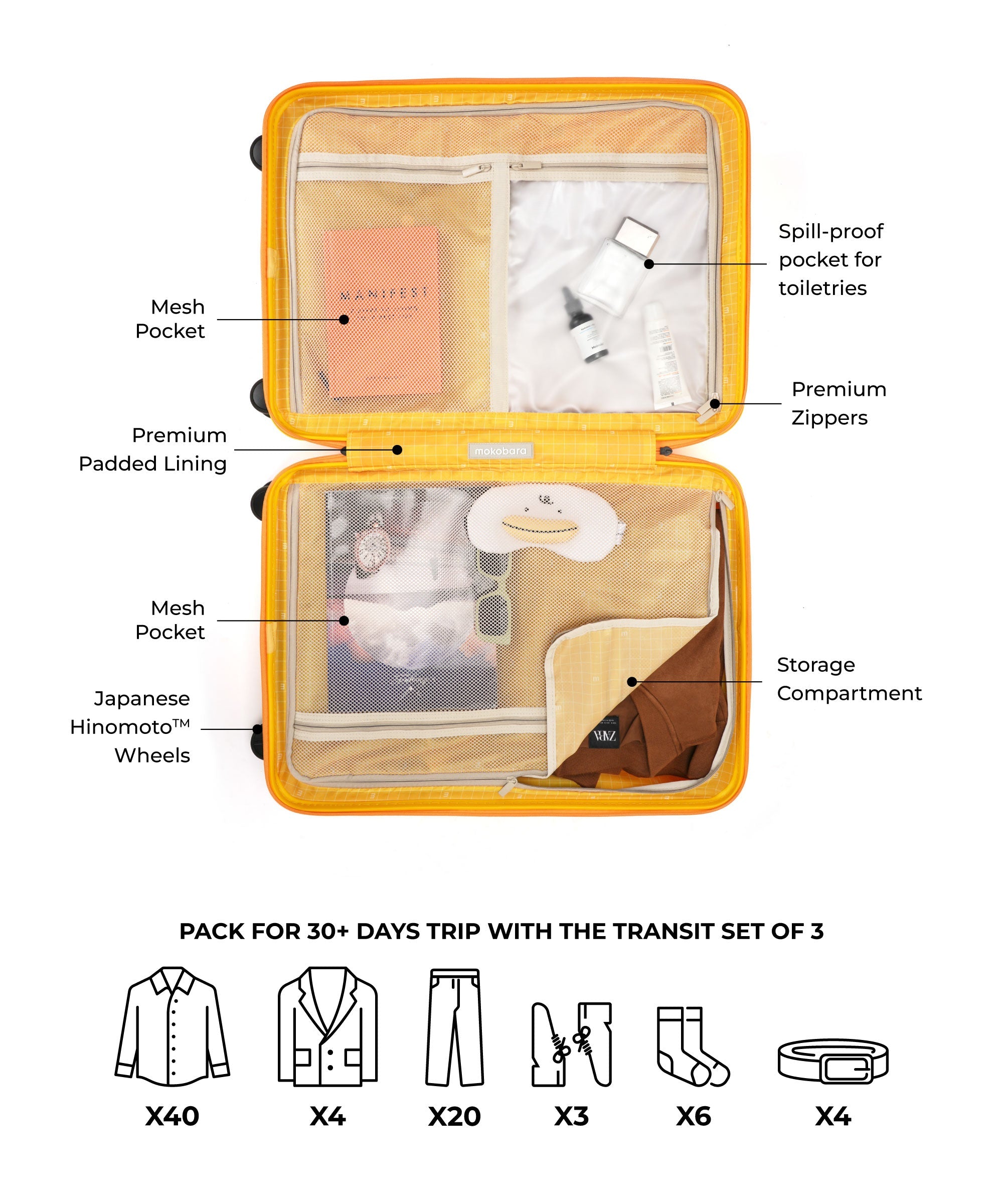 Transit Luggage - Set of 3