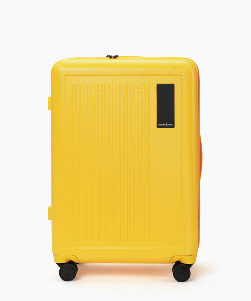 Transit Luggage - Check-in