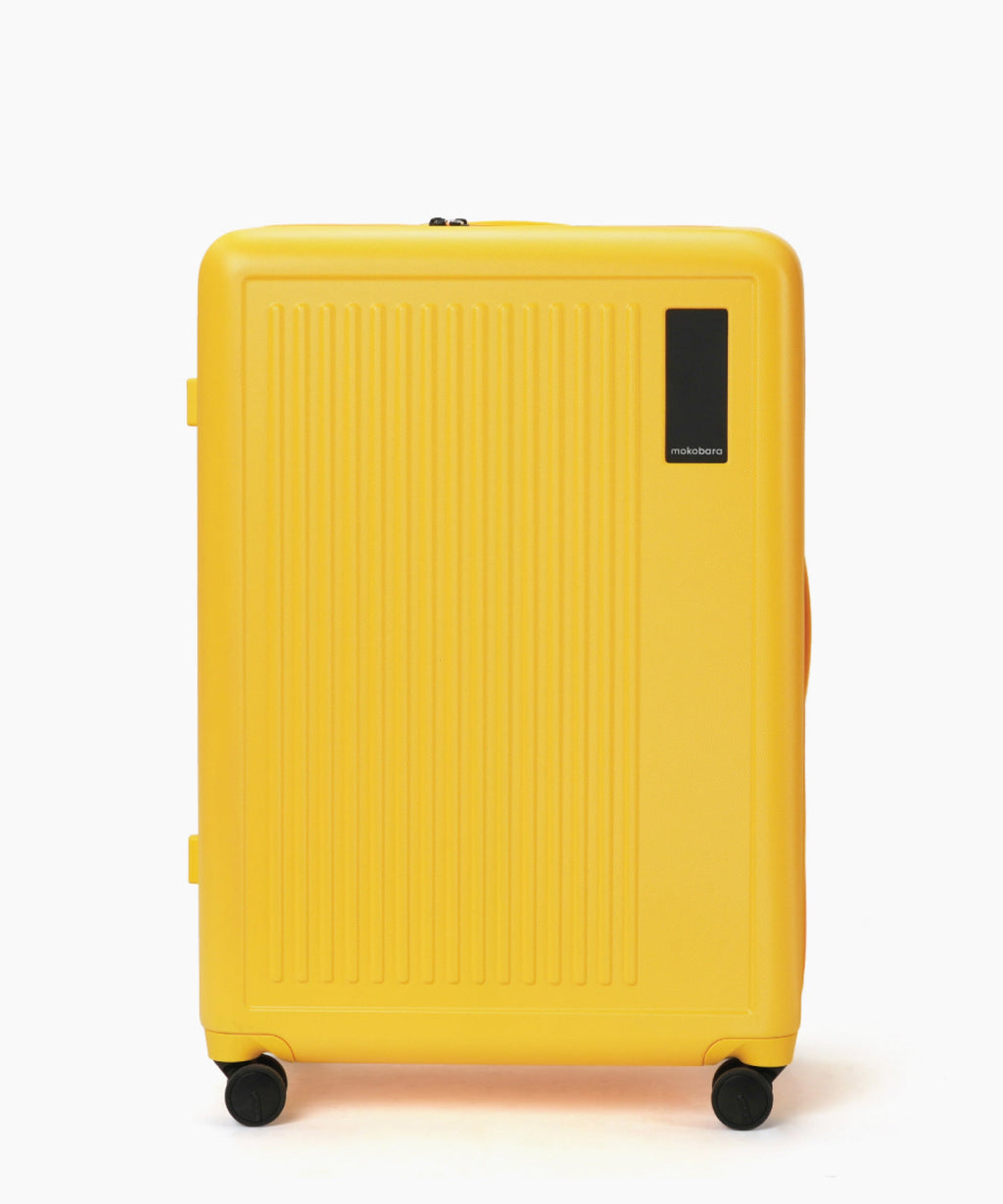 Transit Luggage - Check-in Large