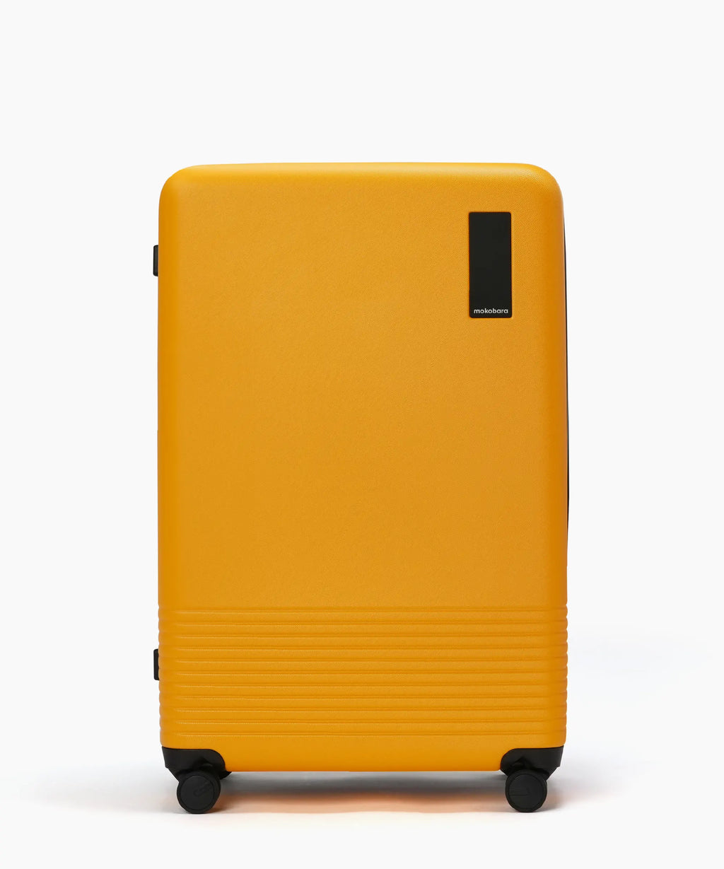 Check-in Large Luggage