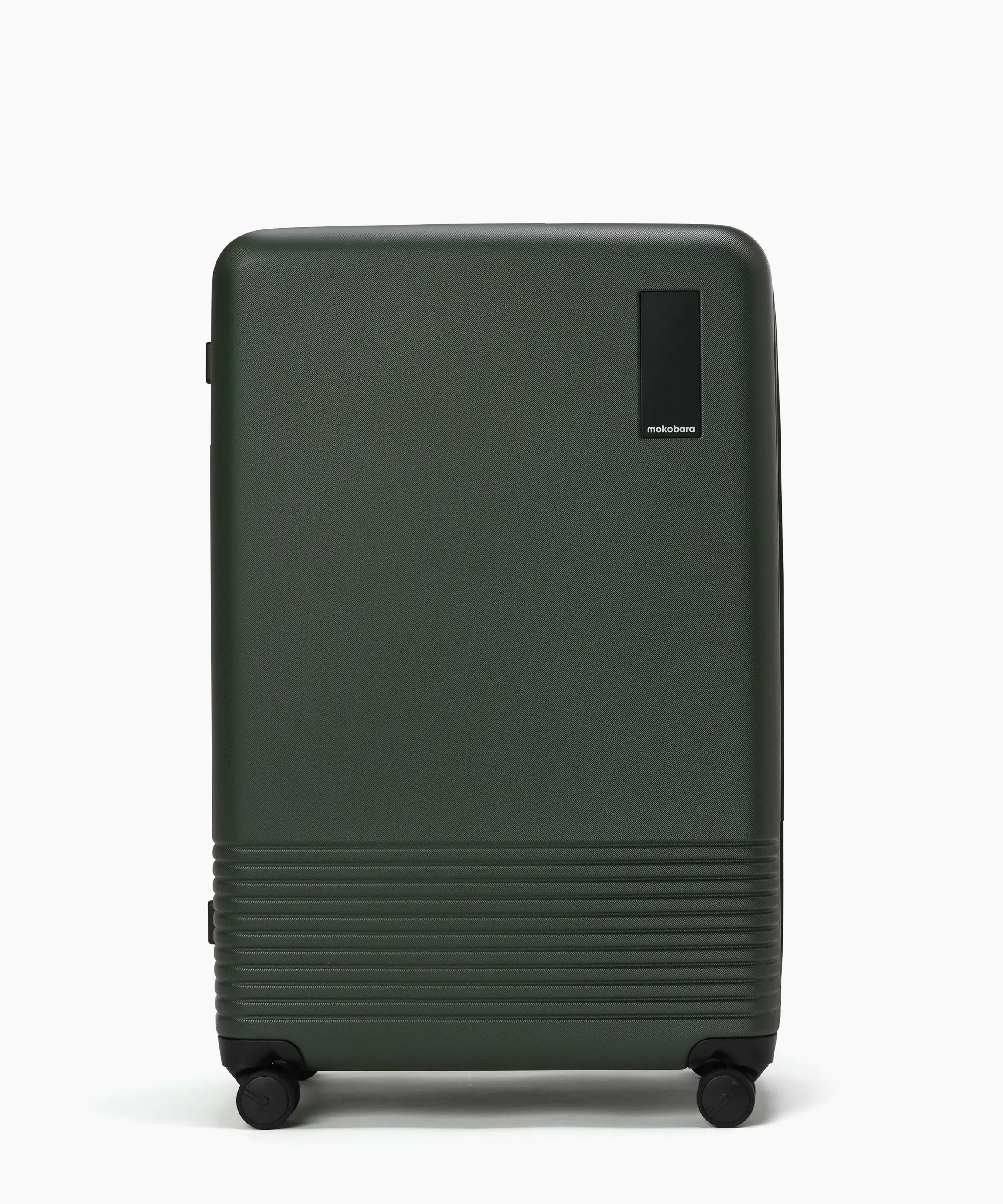 Check-in Large Luggage