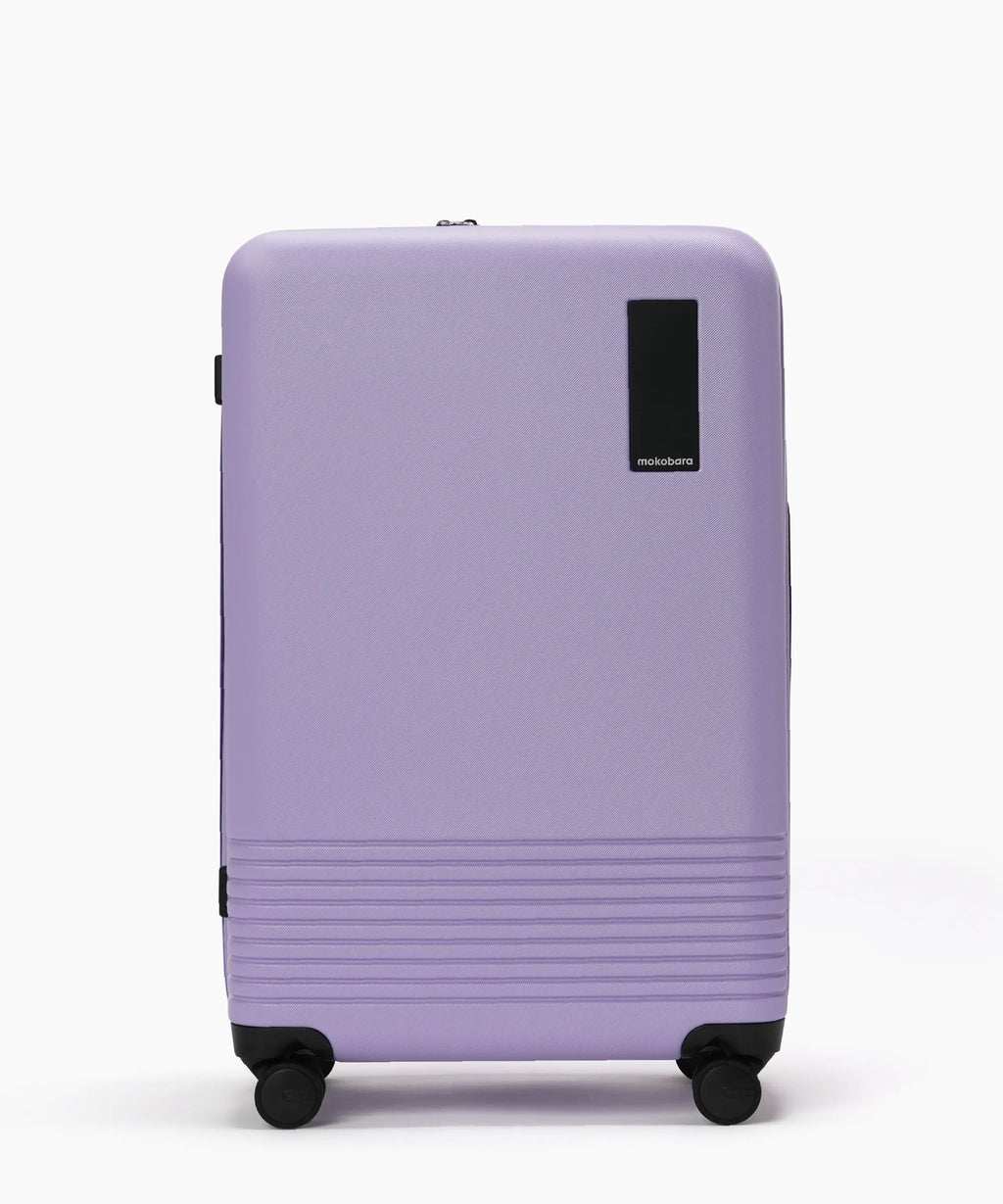 Check-in Luggage