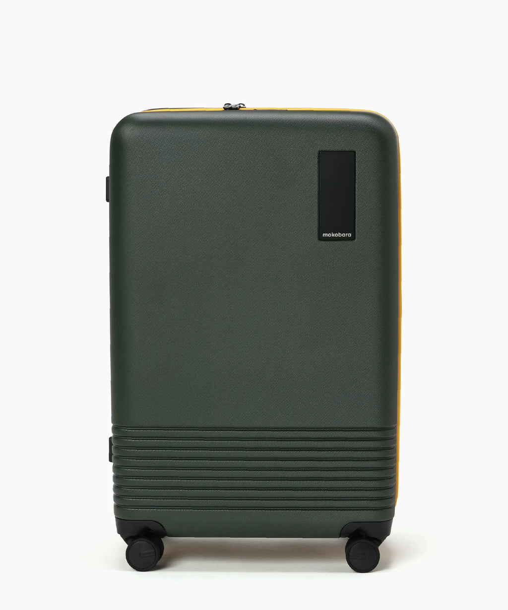 Set of 2 Luggage