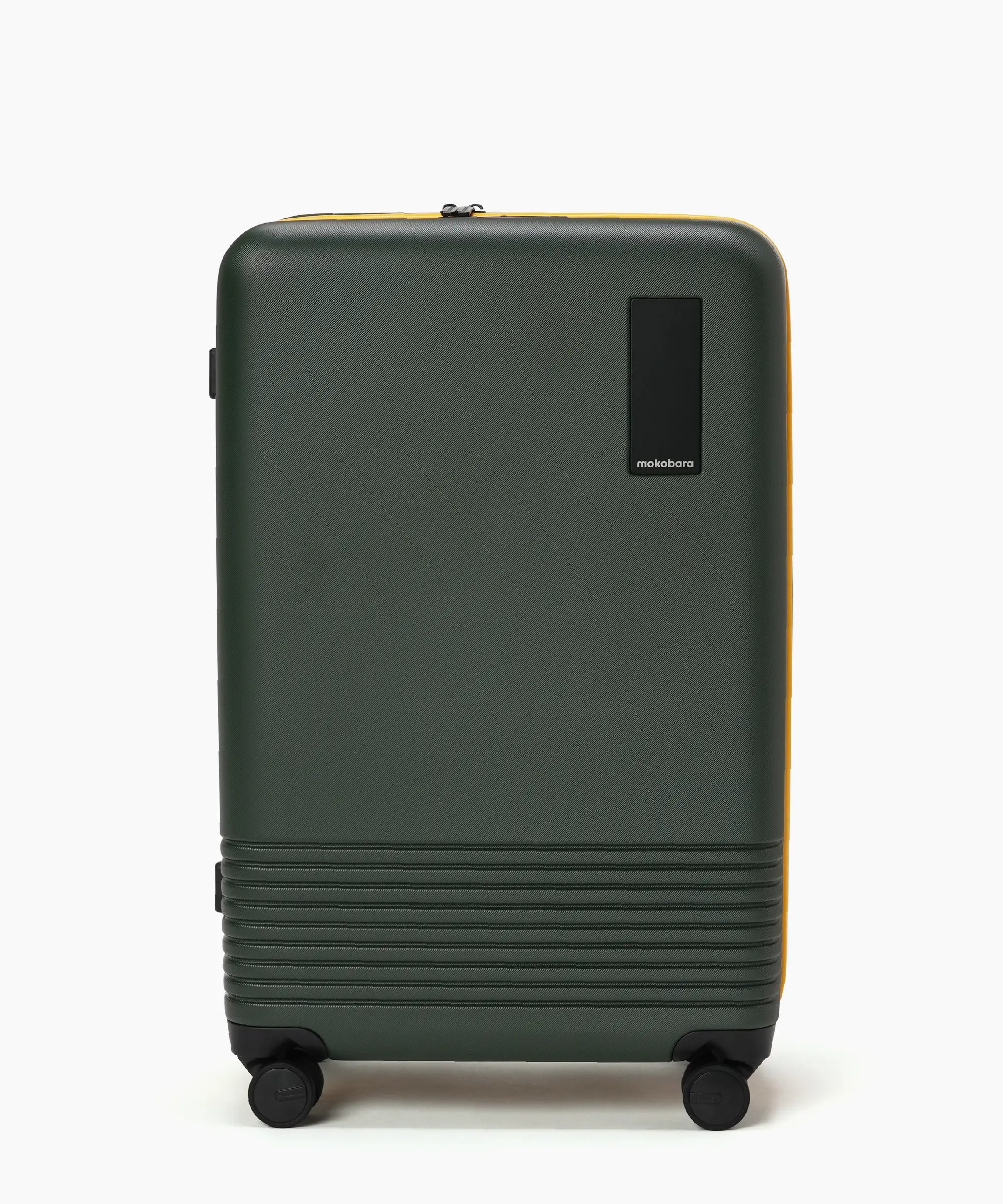 Set of 2 Luggage