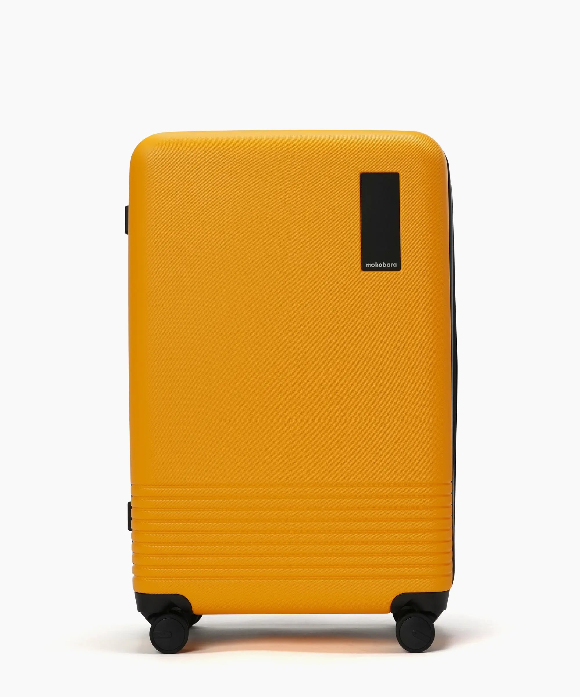 Check-in Luggage