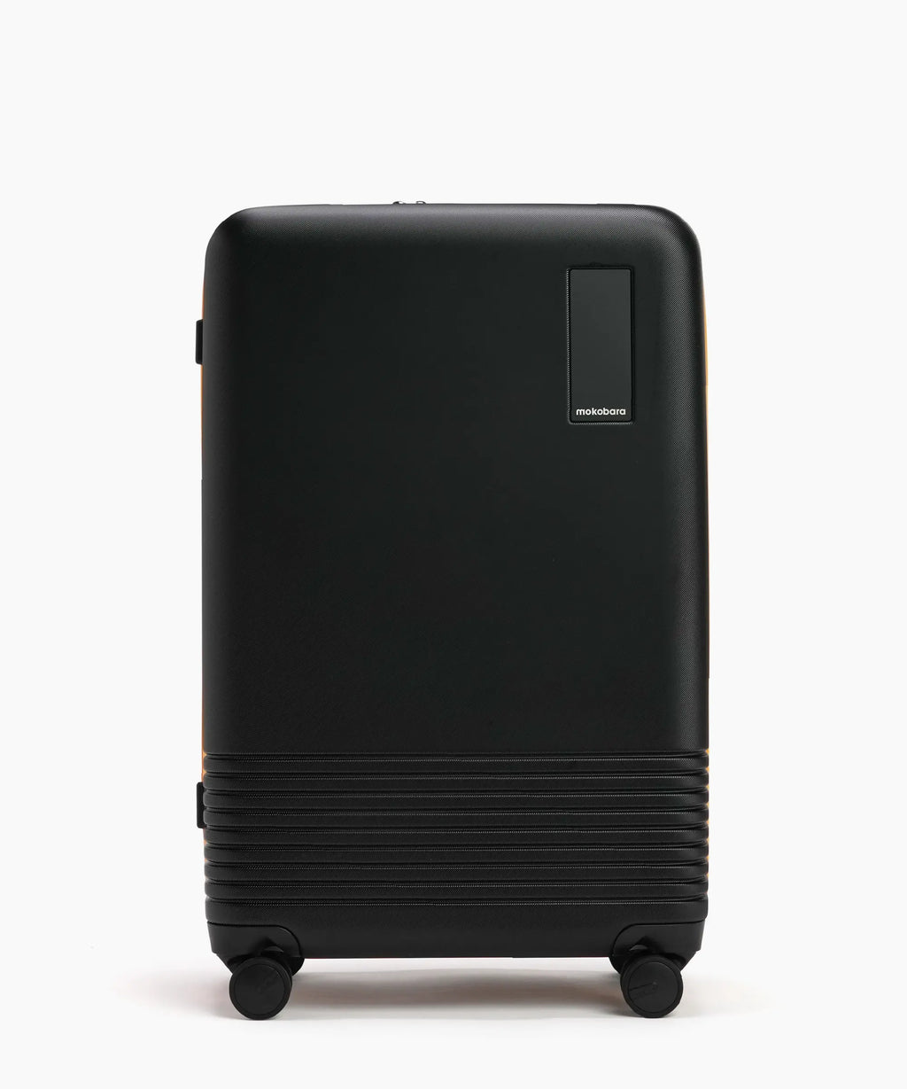 Set of 2 Luggage