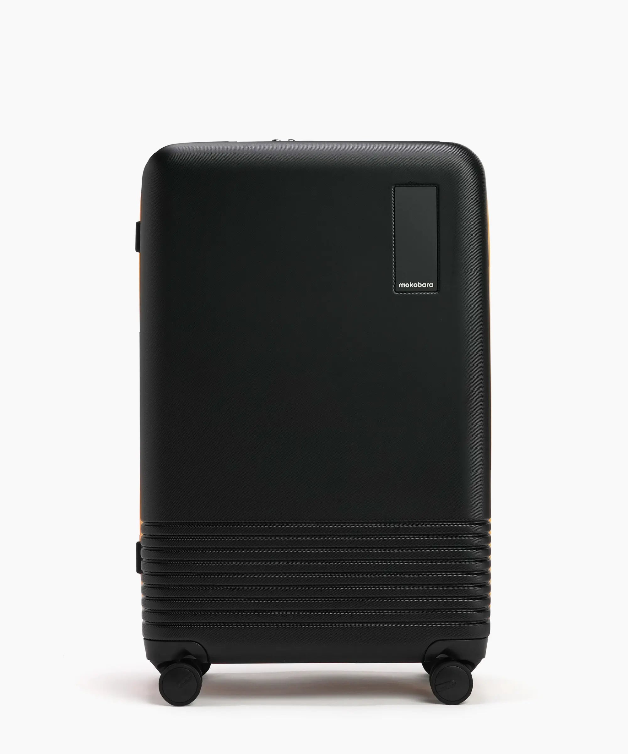 Check-in Luggage