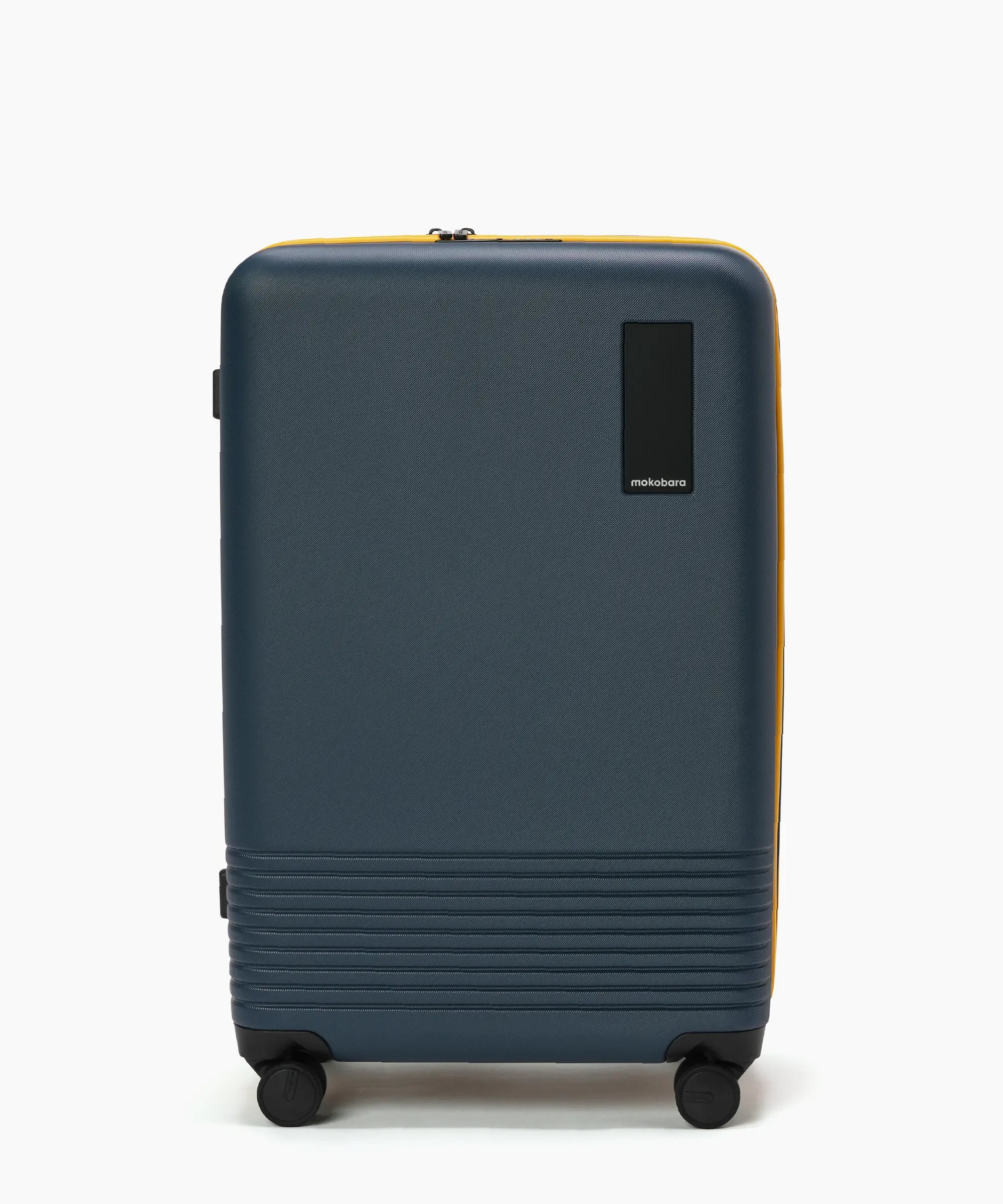 Check-in Luggage
