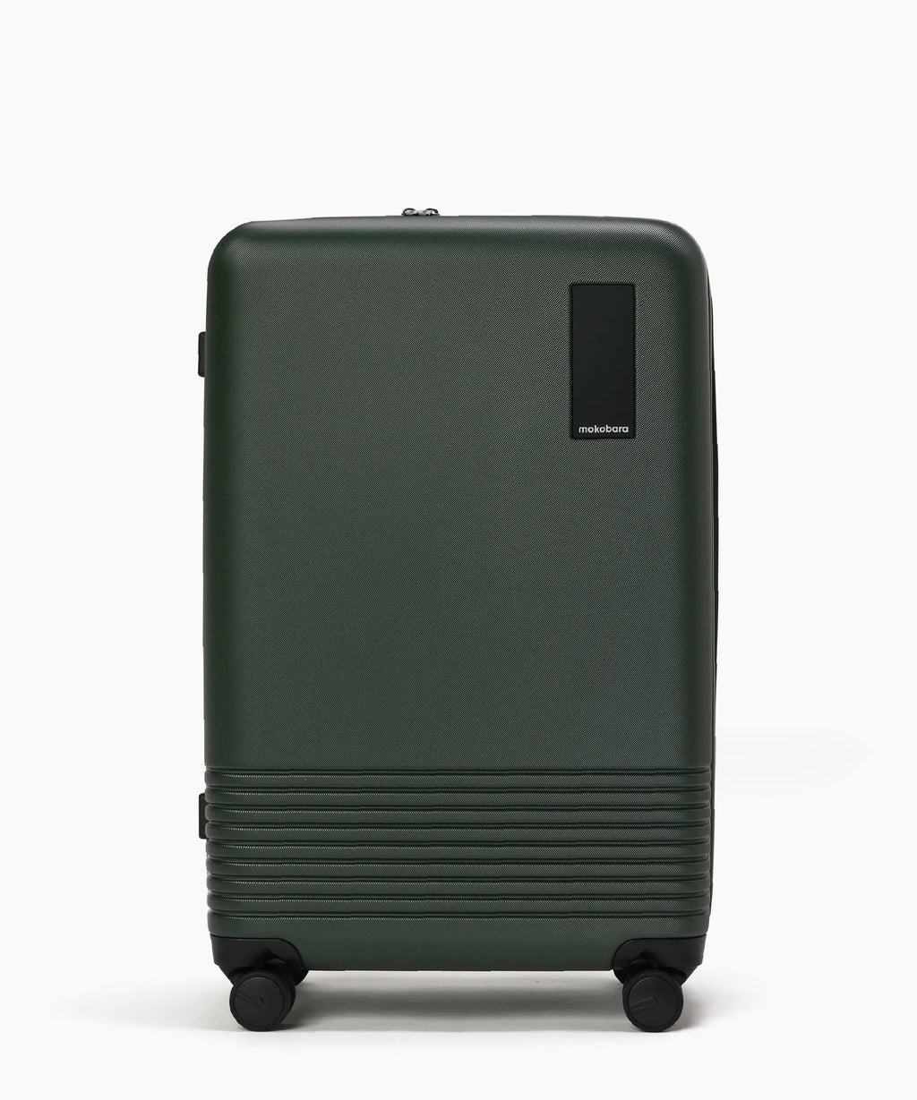 Set of 2 Luggage