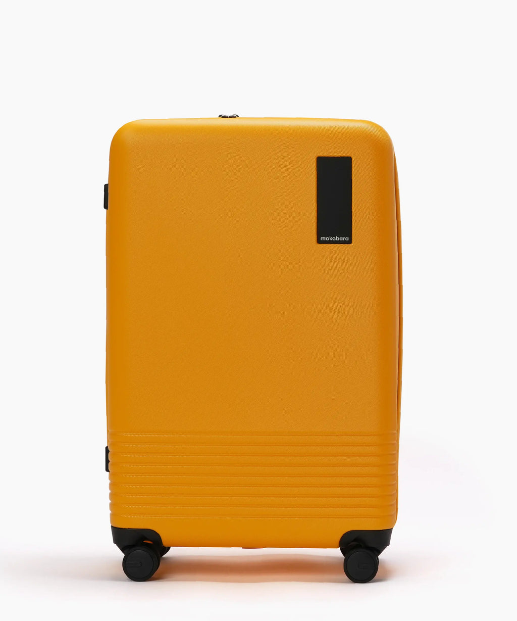 Check-in Luggage