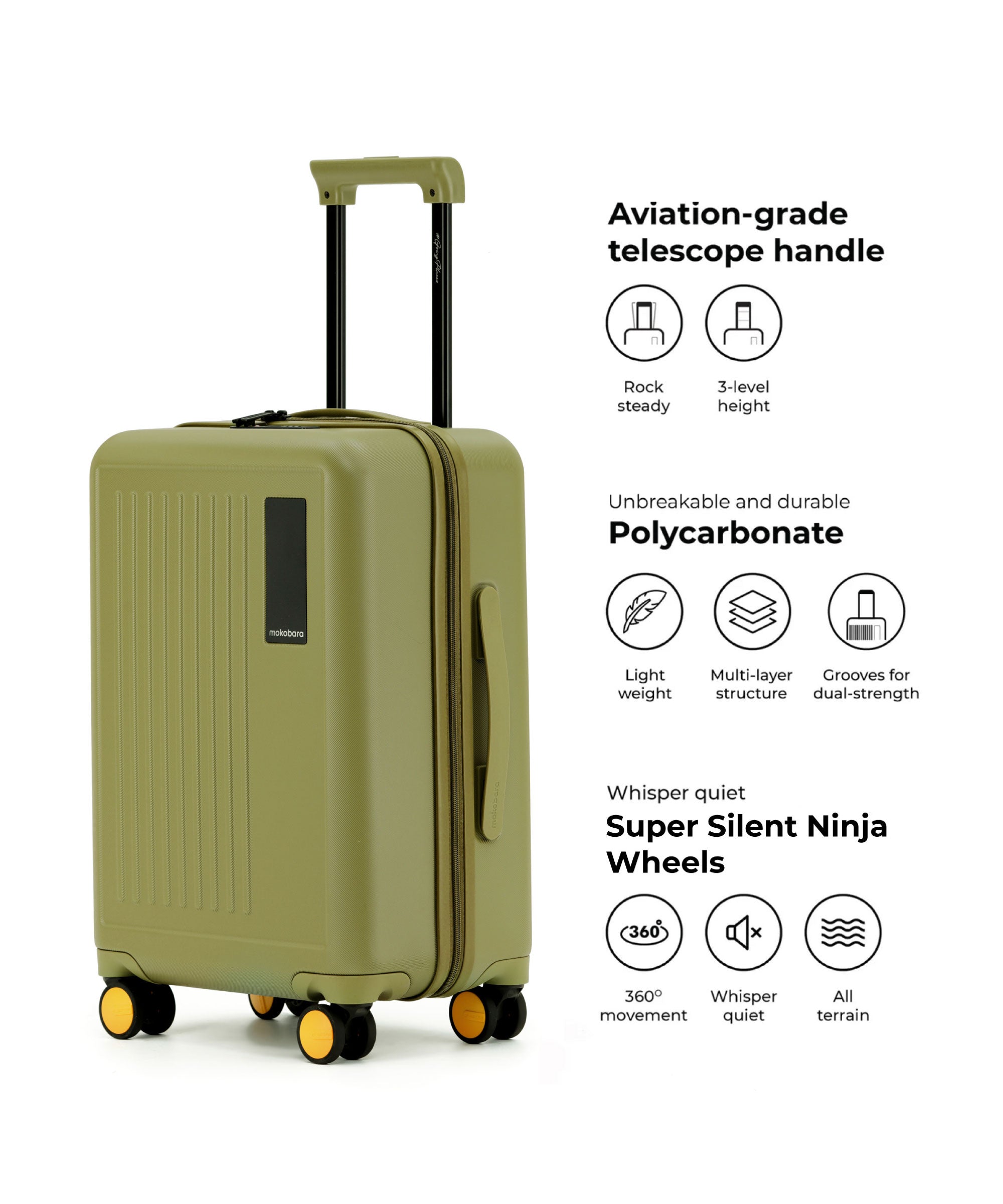 Transit Luggage - Cabin