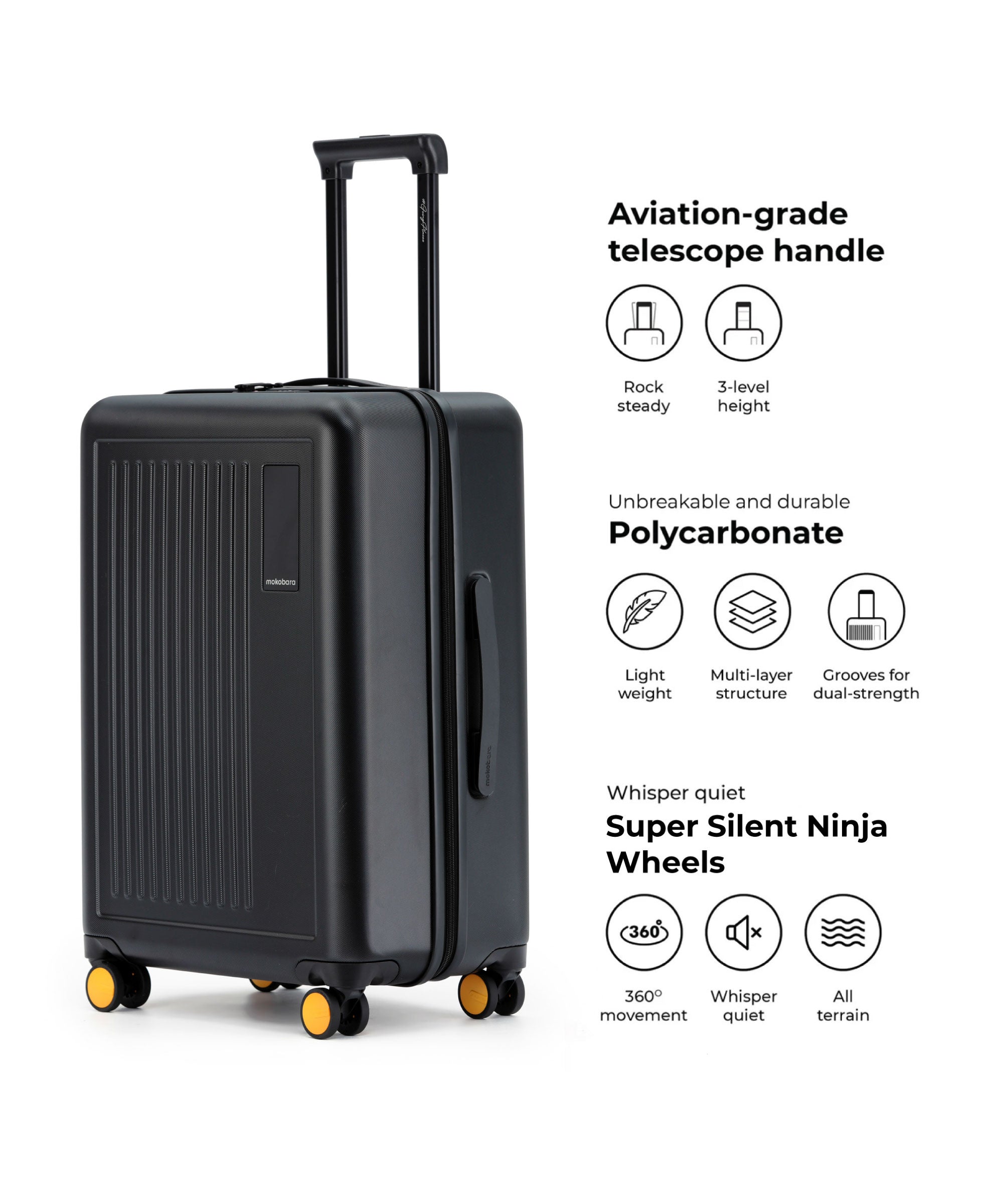 Transit Luggage - Check-in