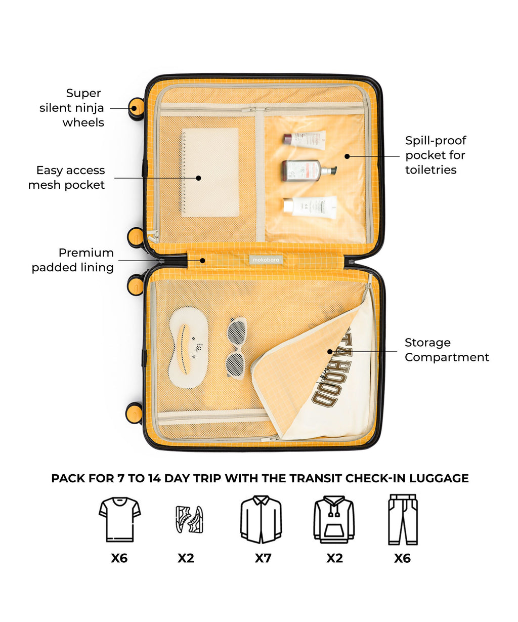 Transit Luggage - Check-in