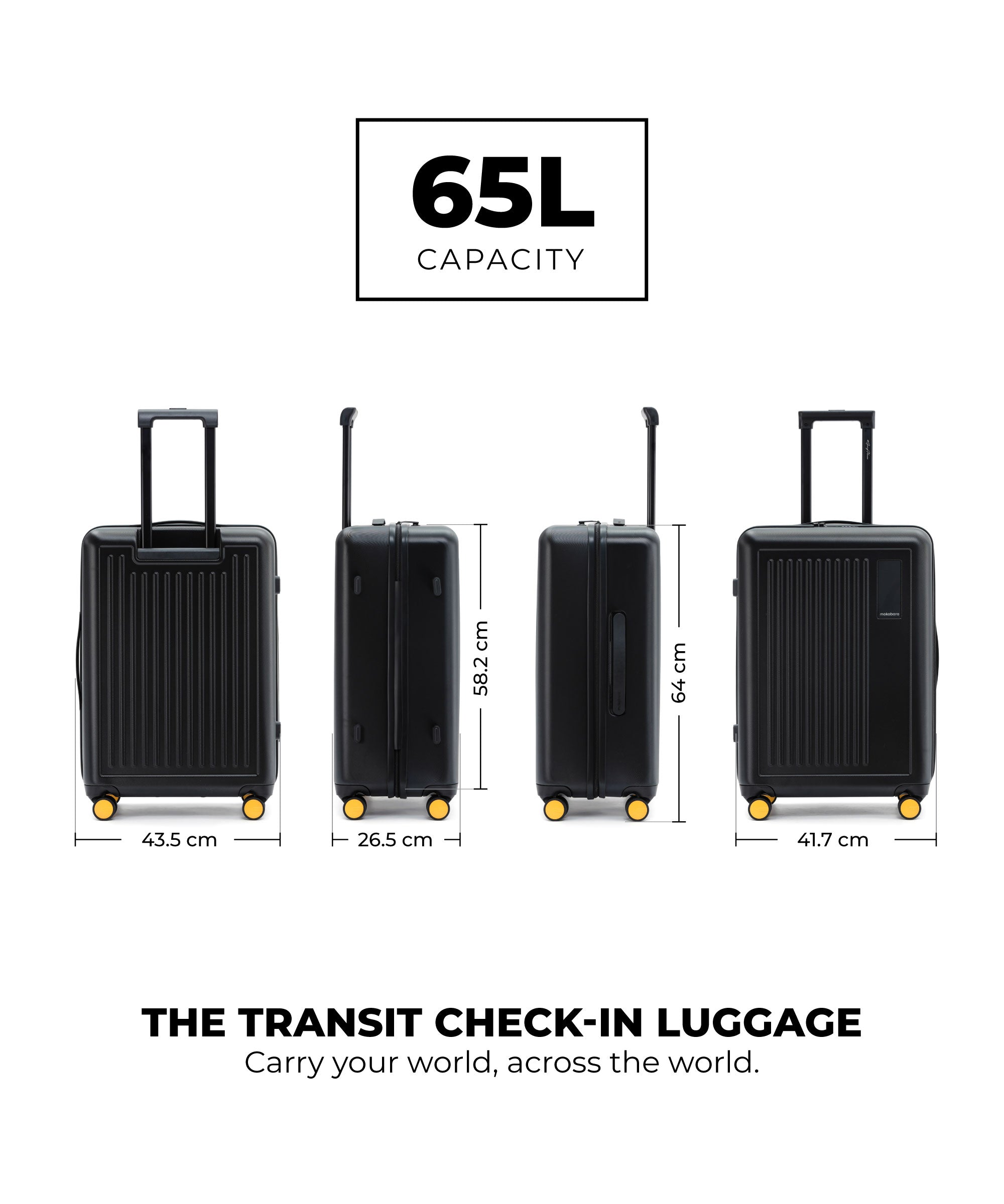 Transit Luggage - Check-in