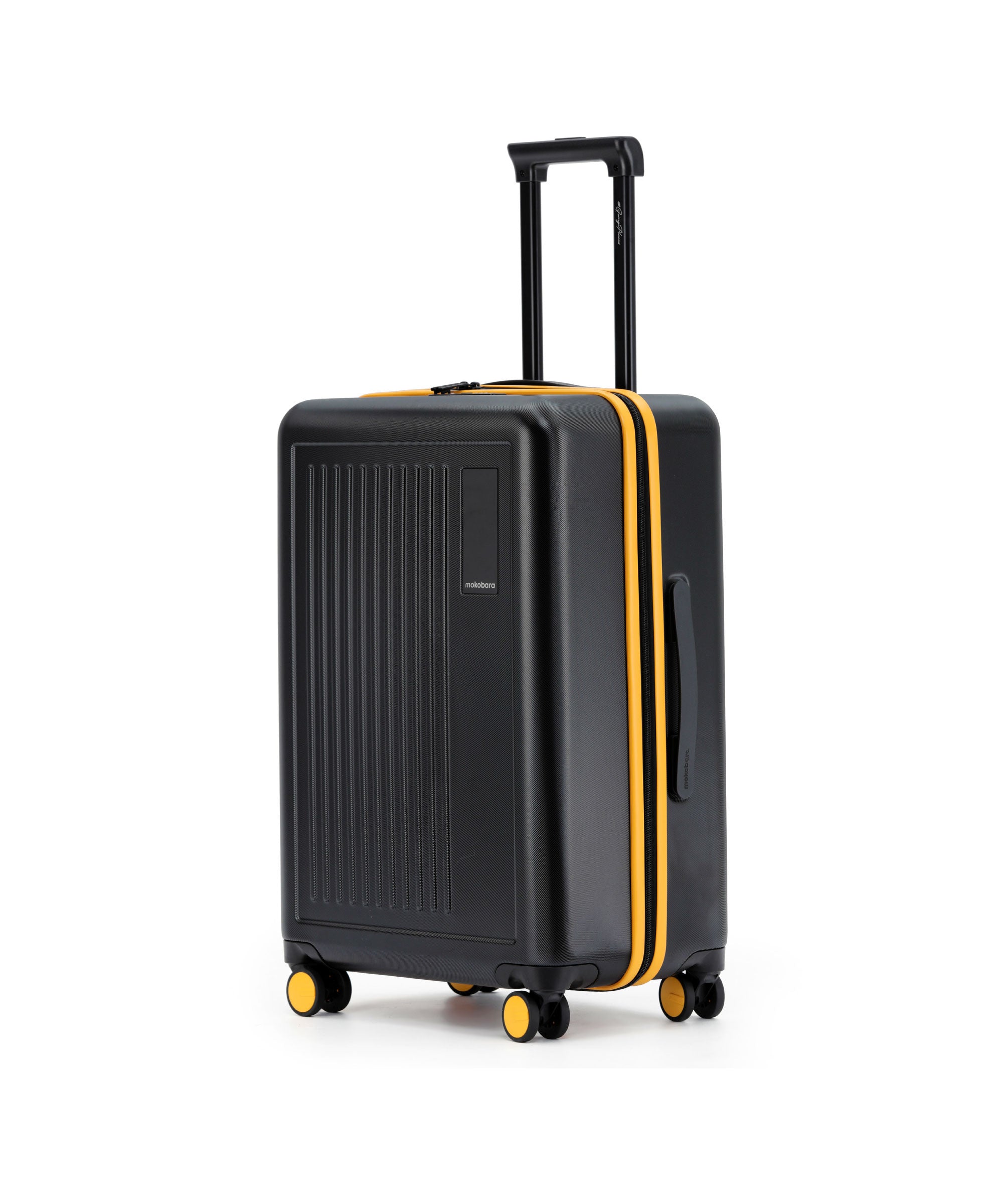 Transit Luggage - Check-in