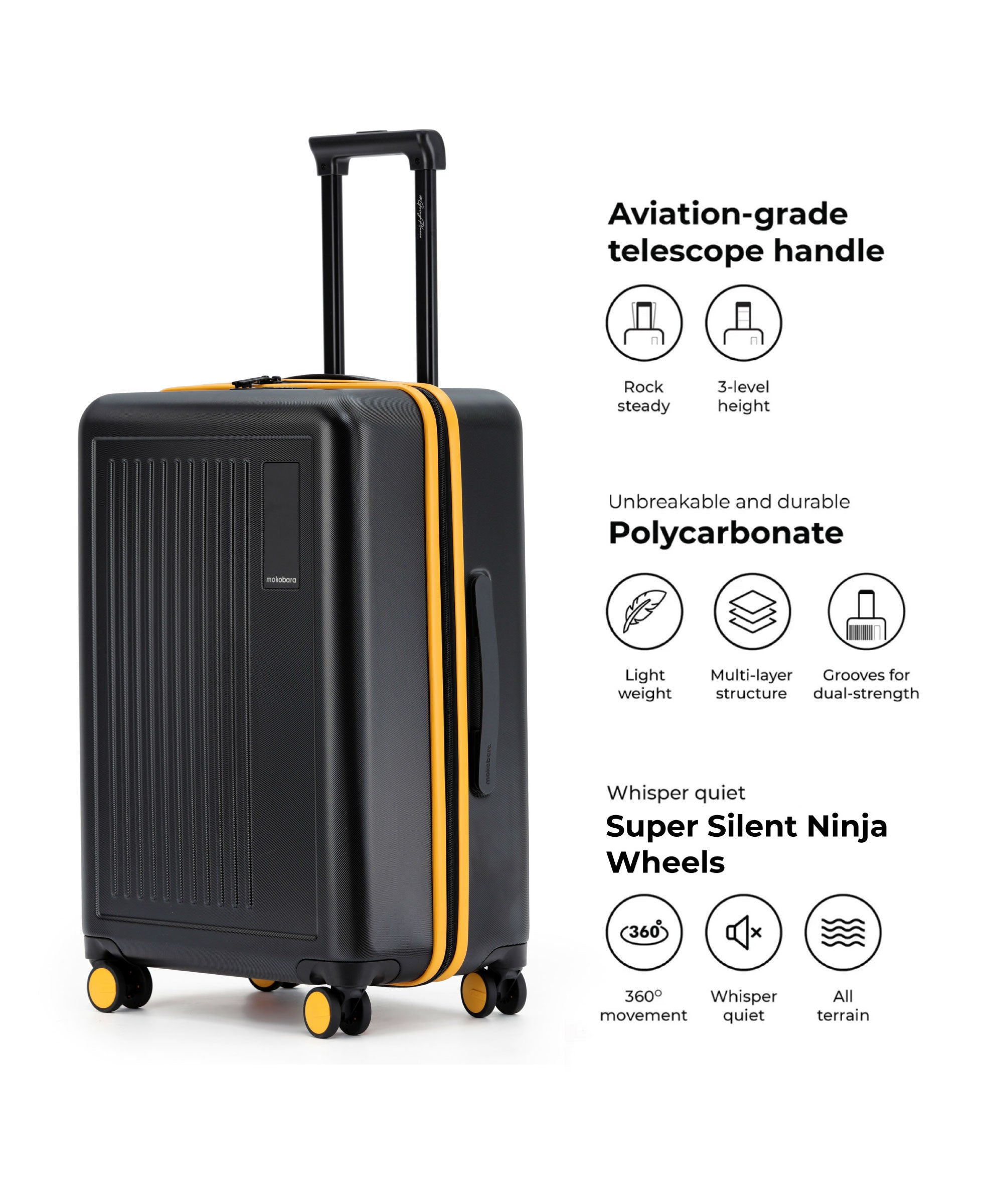 Transit Luggage - Check-in