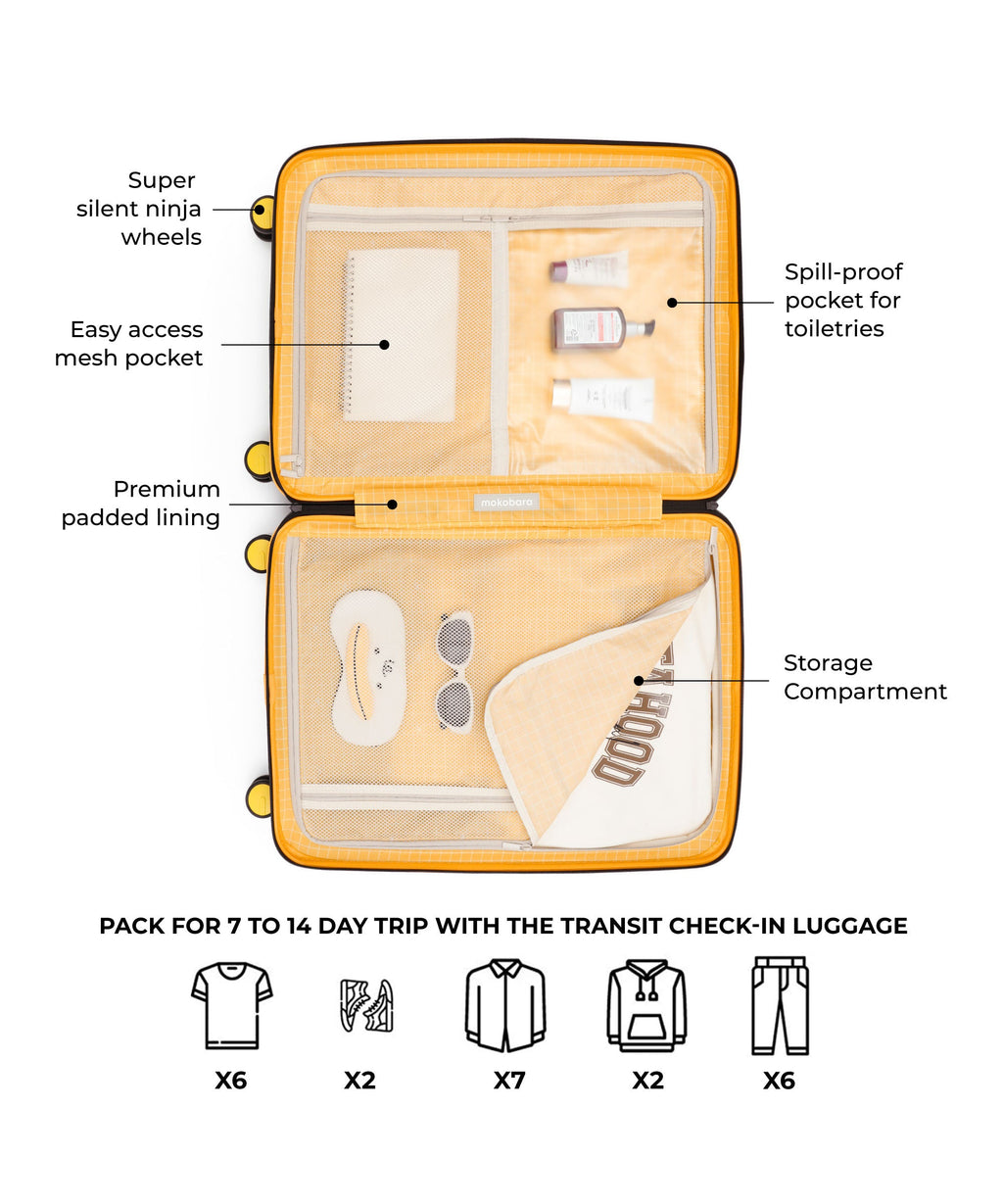 Transit Luggage - Check-in