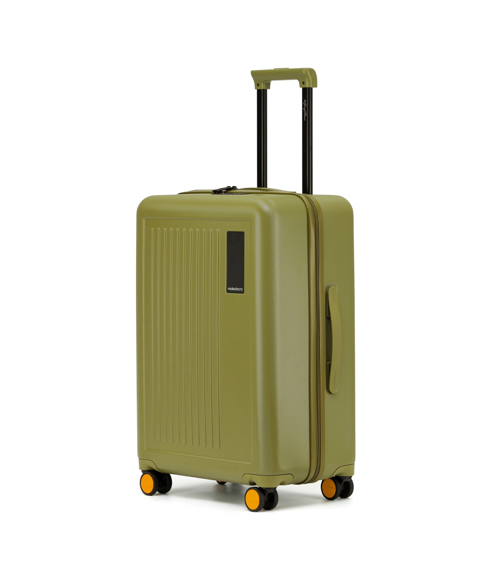 Transit Luggage - Check-in