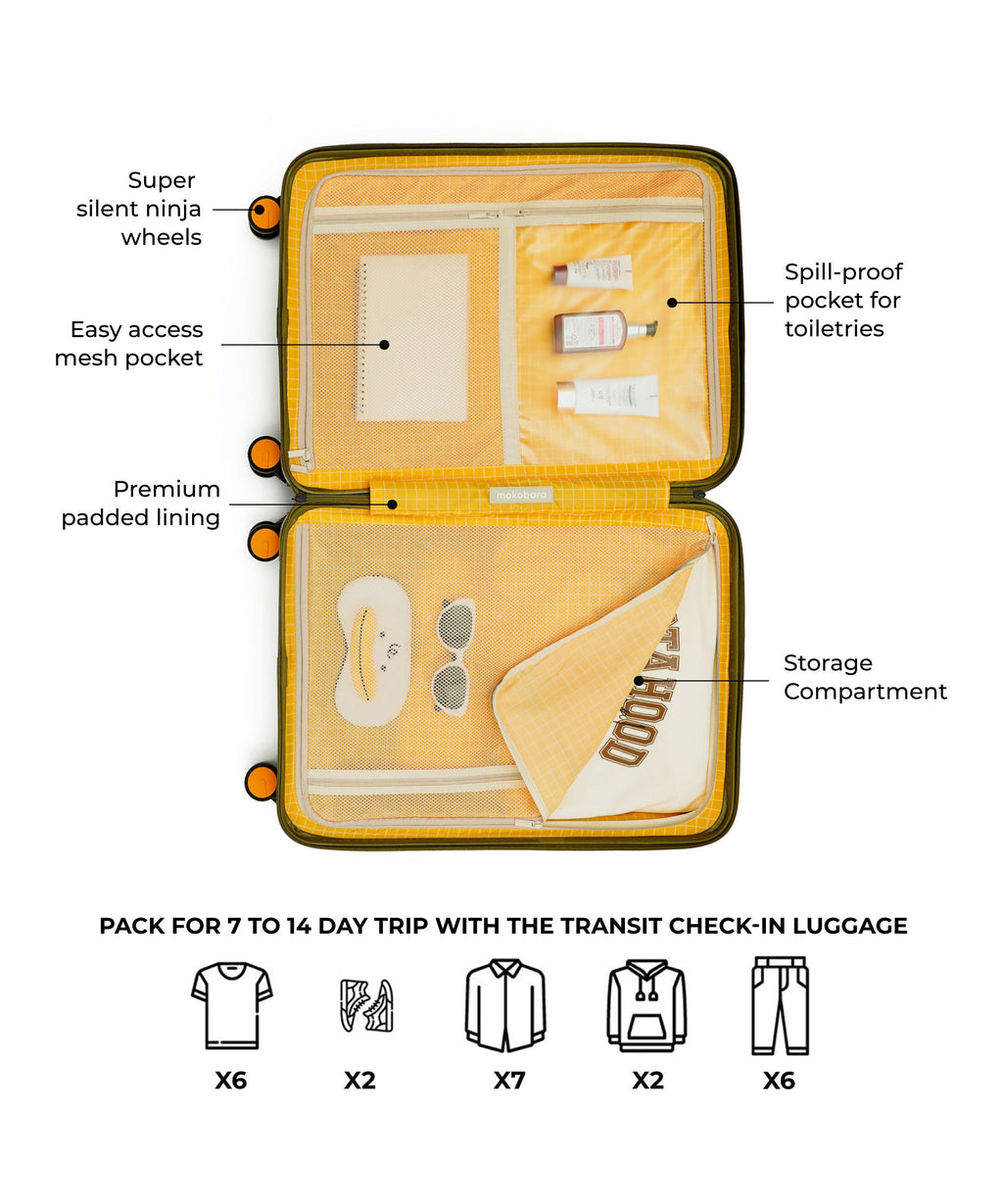 Transit Luggage - Check-in